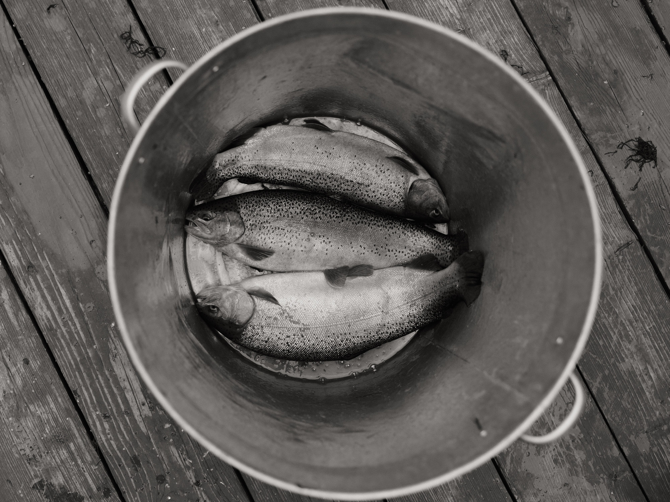 Репортаж Супара. Азимжан Нуритдинходжаев — свадебный фотограф