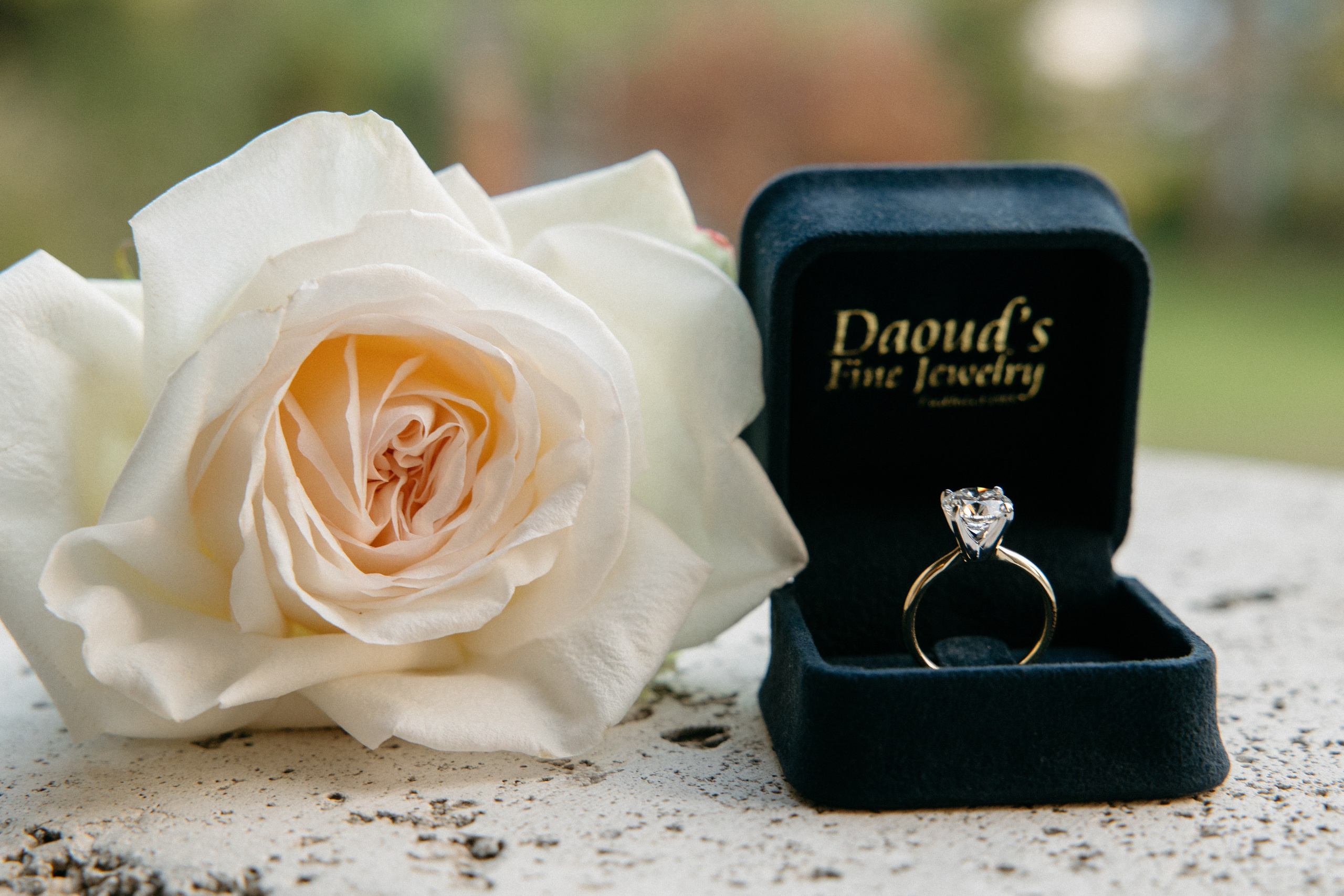 Mike & Donna. Fotografo di matrimoni