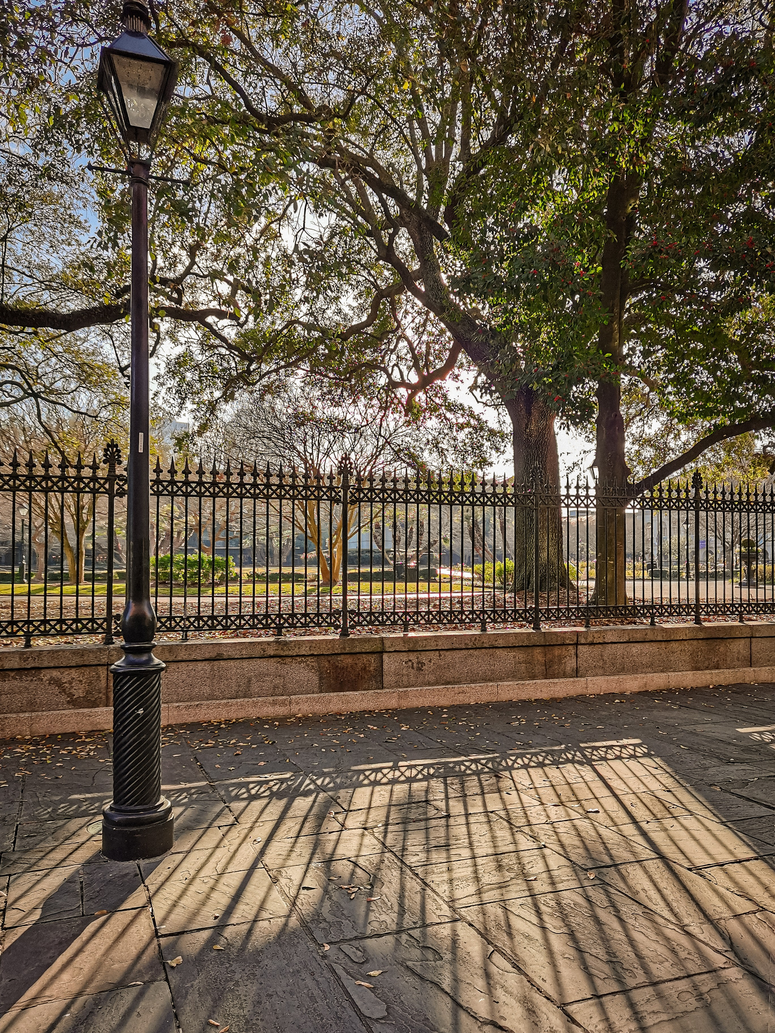 Photo walk in New Orleans Louisiana. Victoria Fedoseenko. Photographer from Serbia