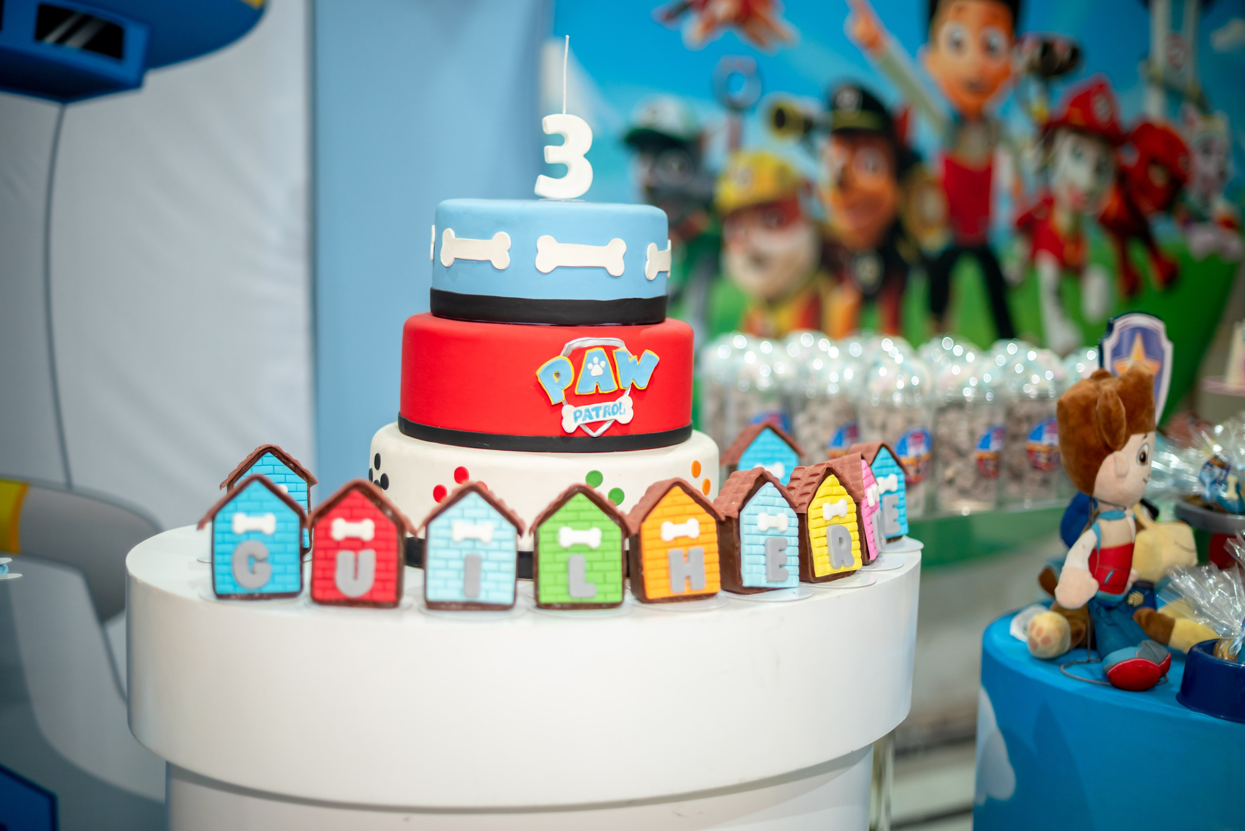 Guilherme 3 anos. Wedding photographer Ana Koshi