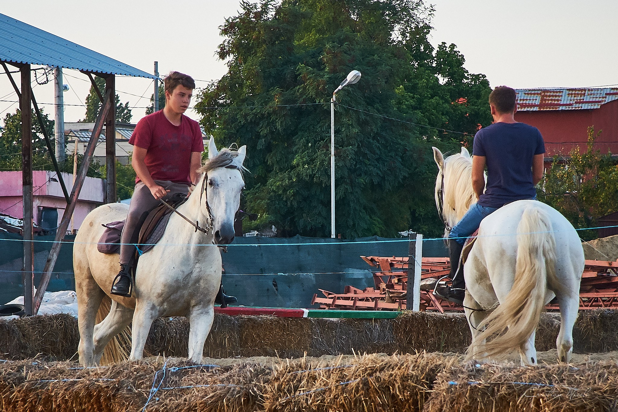 Lacul Morii, București. Pagina principală