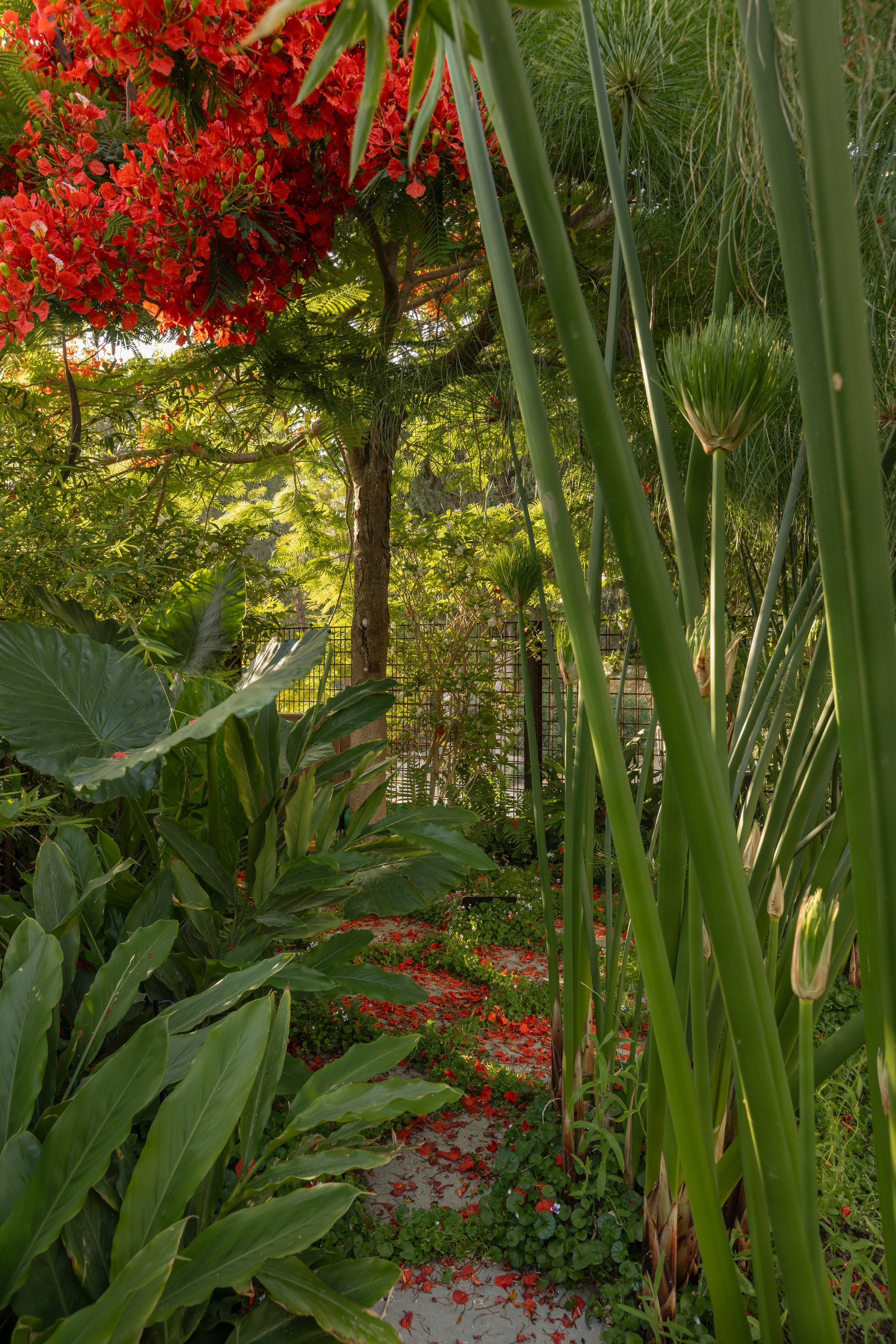 Kiryat Tivona. צילום ווידאו לעיצוב פנים ואדריכלות