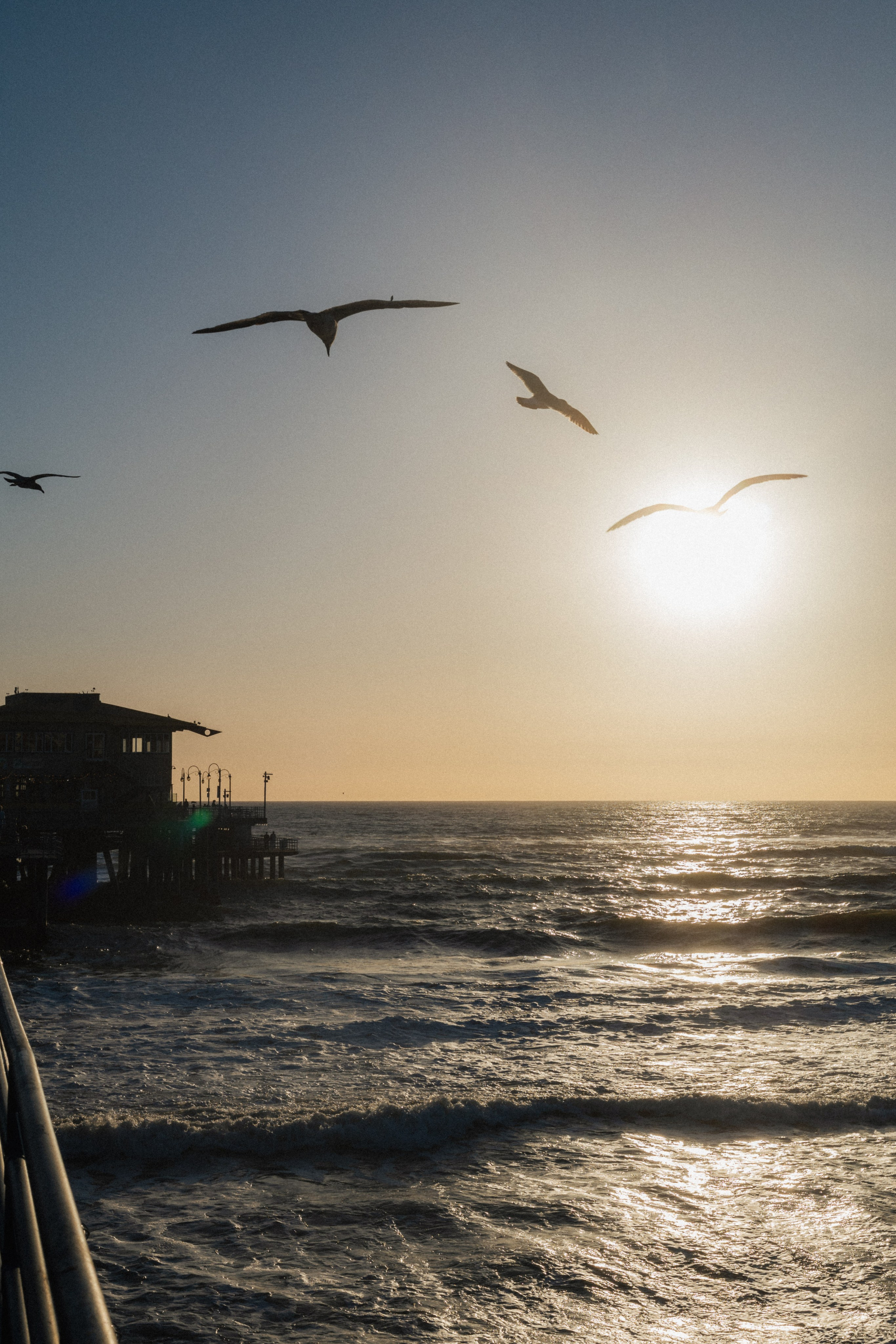 Los Angeles. Aleks.photo | Book a photoshoot