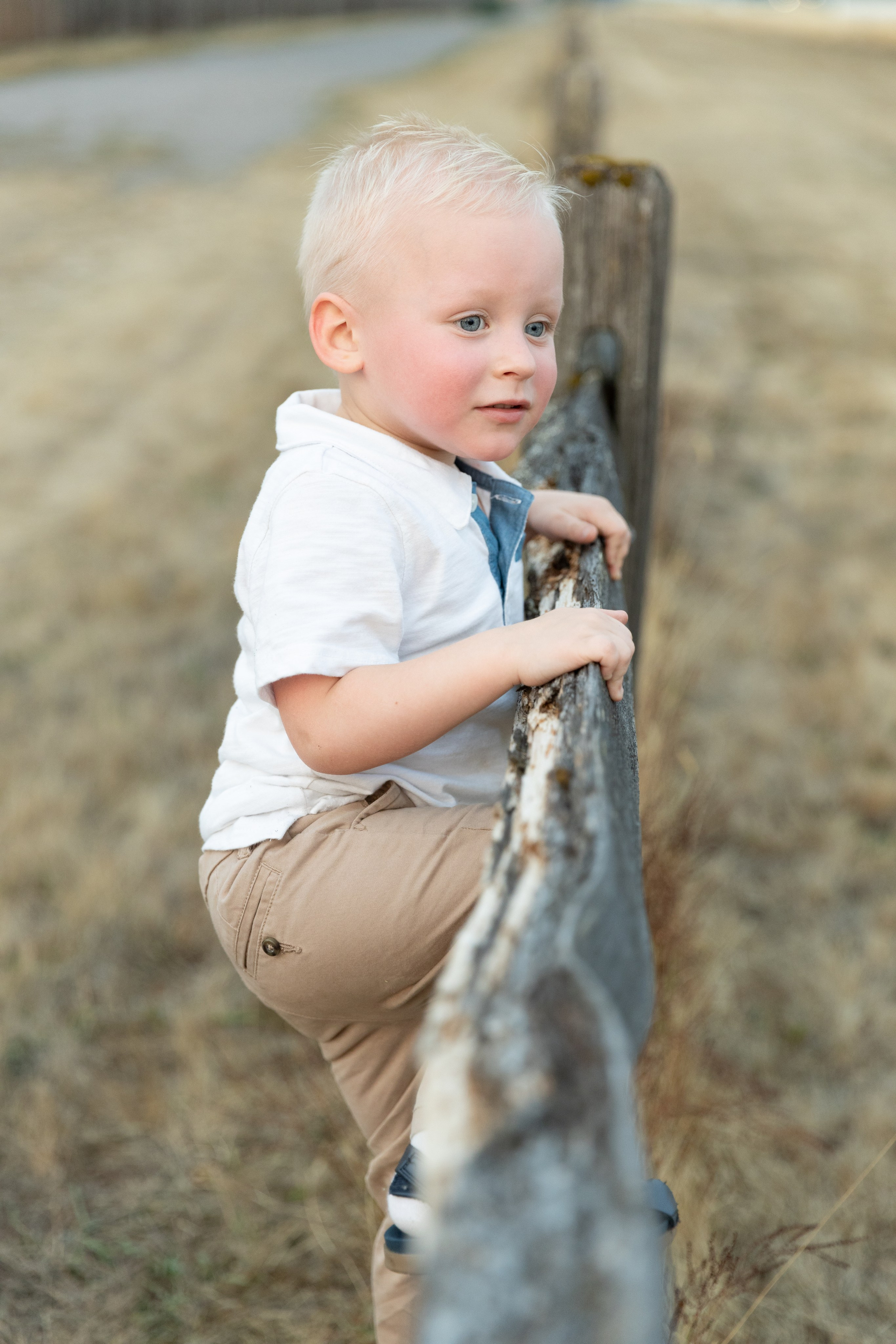 F | E. Family and Wedding photographer