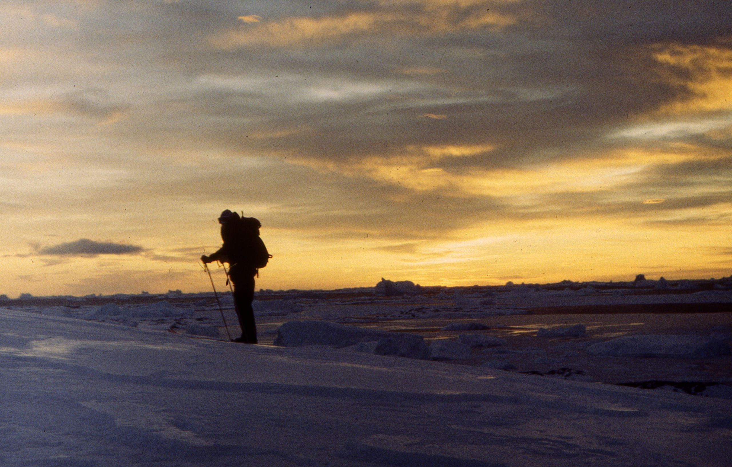 ANTARCTICA. Reportage concert portrait photography in the San Francisco Bay Area