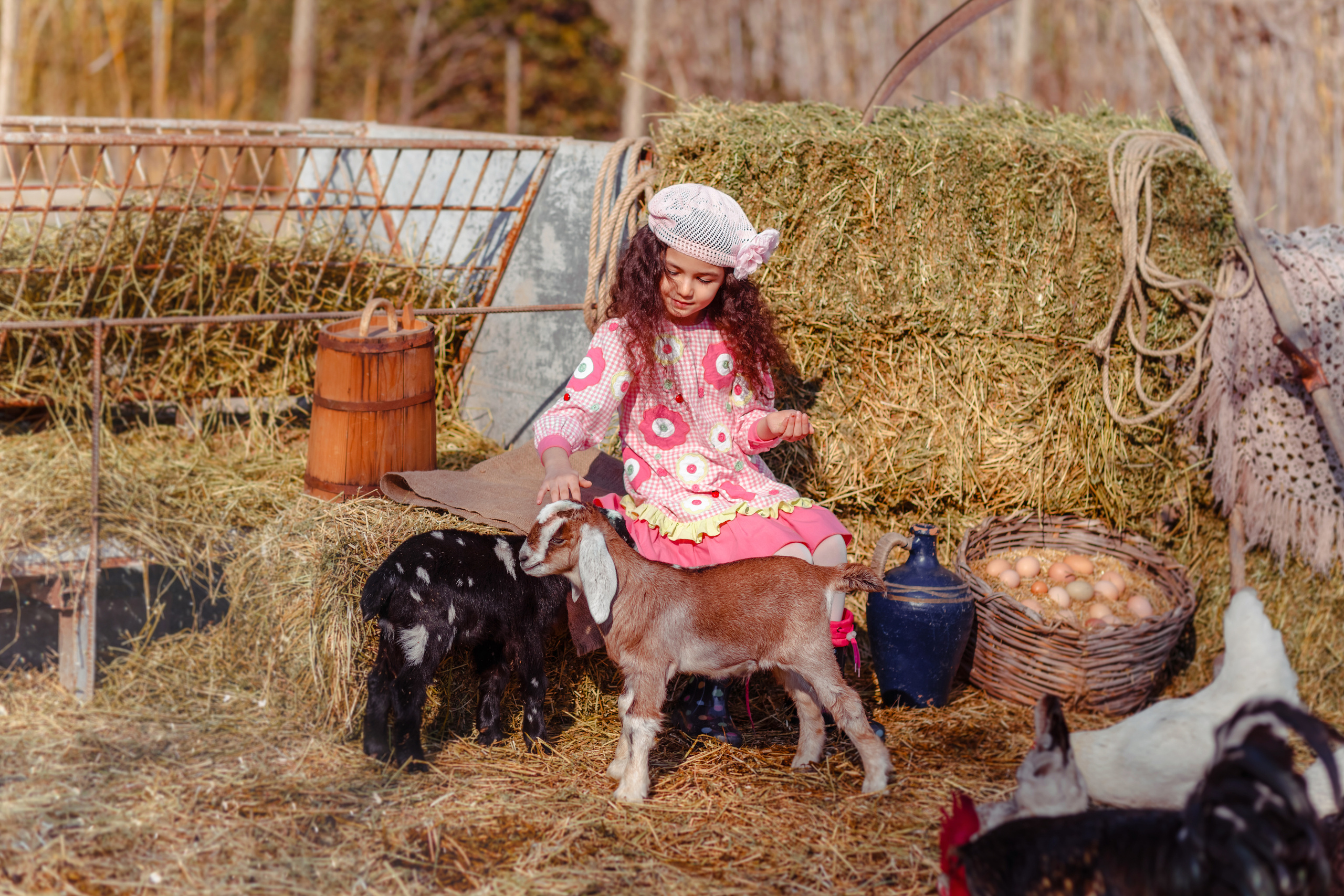 Photo session on the farm