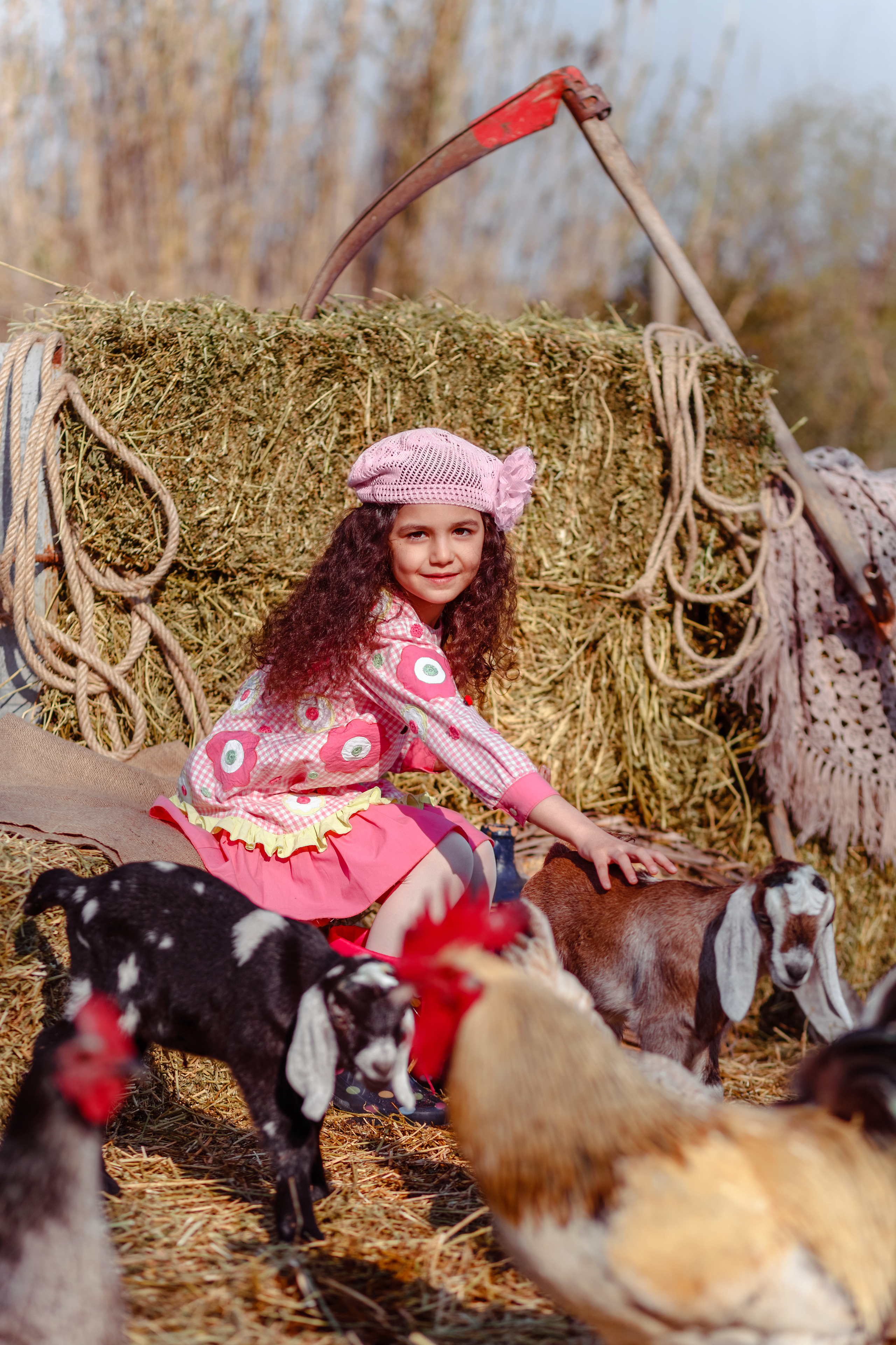 Photo session on the farm