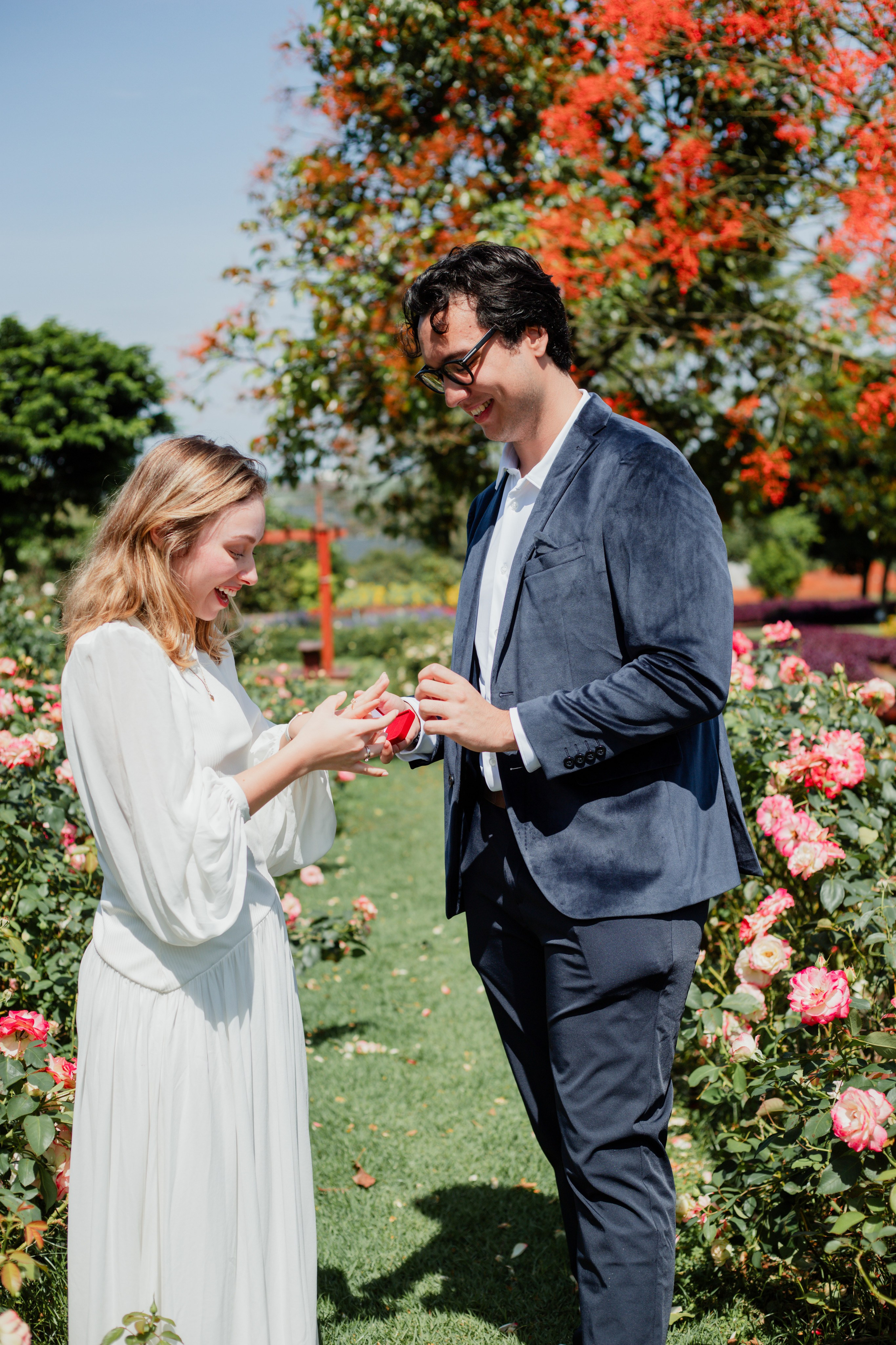 Pedido de Casamento /Bloemen Park. Joyce Maria Fotografia | Fotógrafa em Holambra