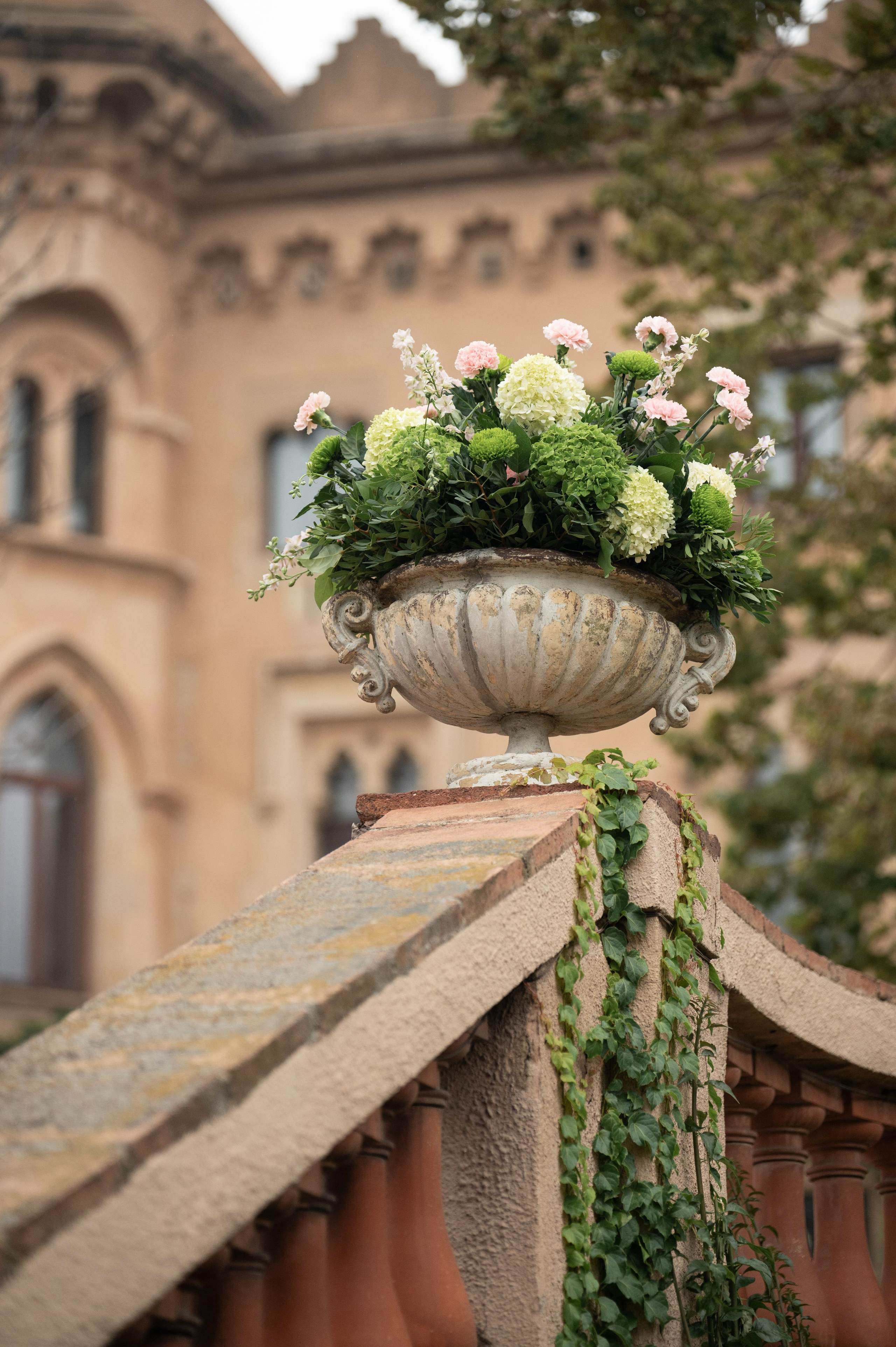 Sara & Javid. Wedding photographer in Spain