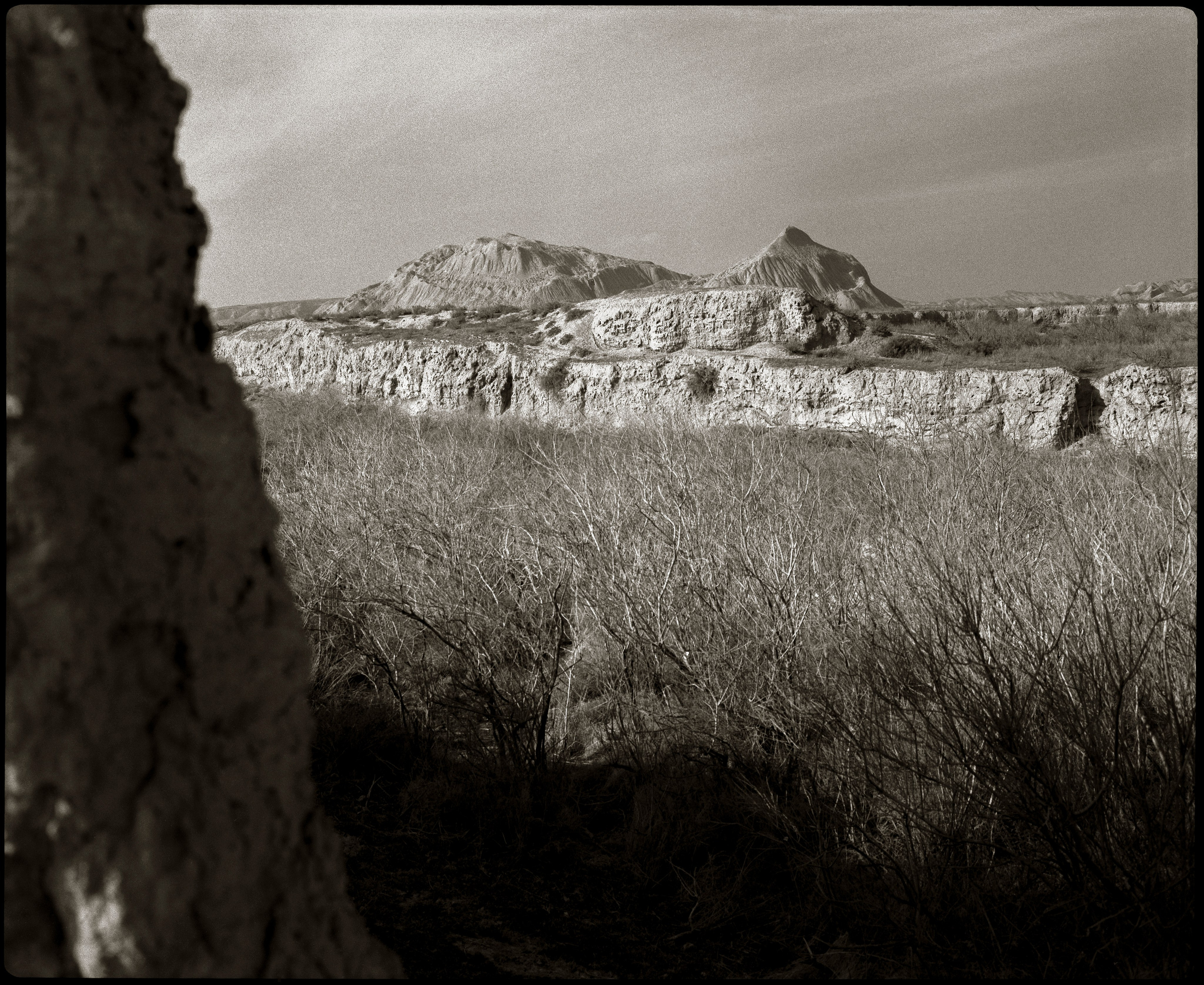 NATURE. Www.sananaleskerov.com