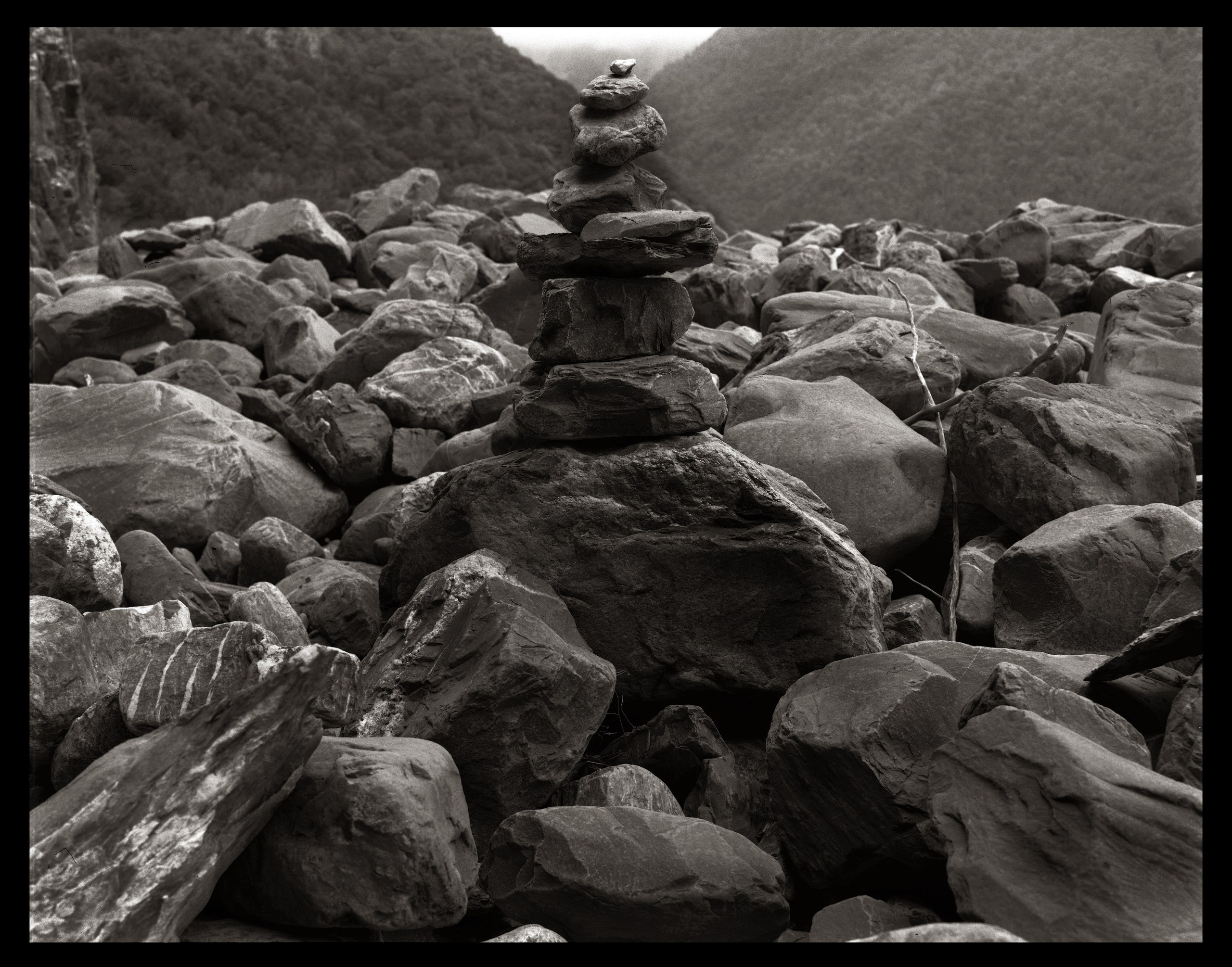 NATURE. Www.sananaleskerov.com