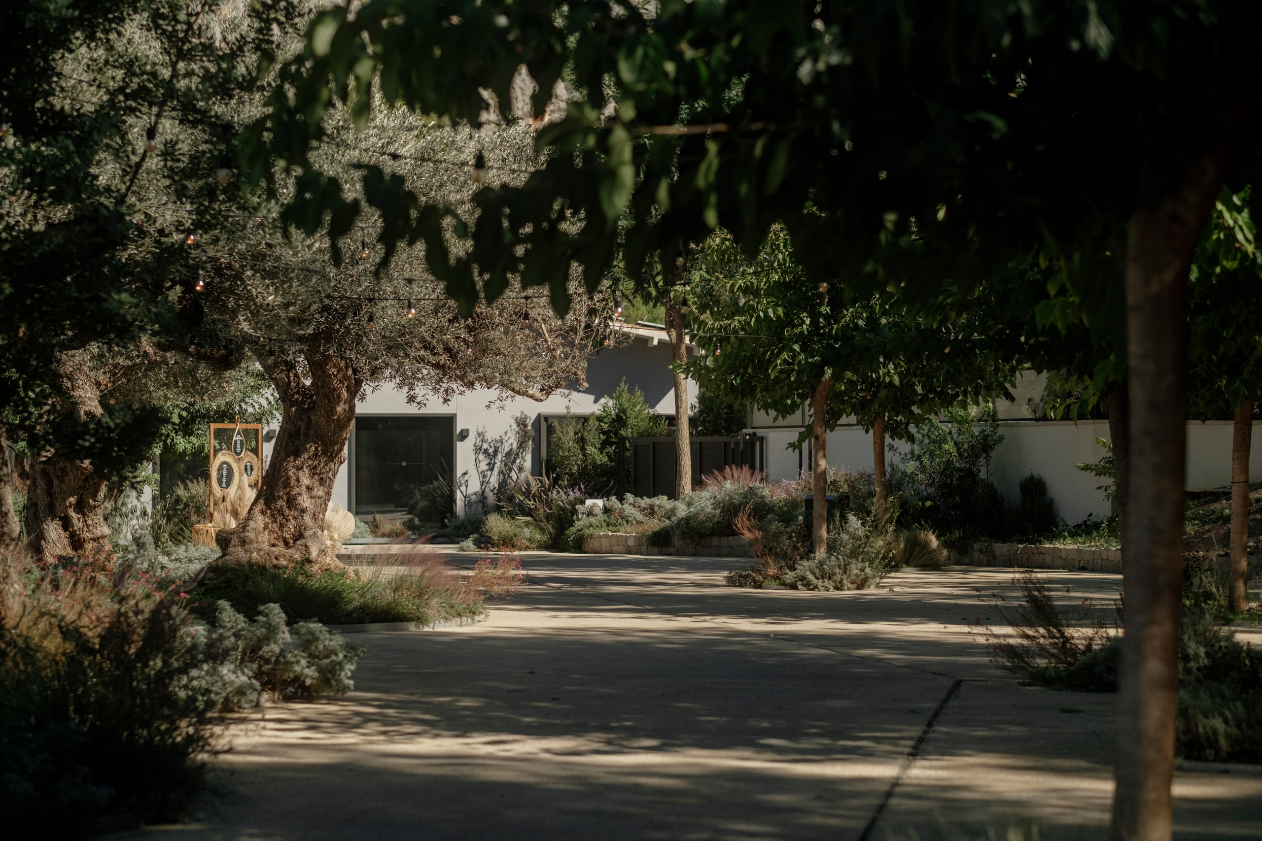 Dasha & Ister. Vivood Landscape. Paola fotógrafo / videografo de bodas en Barcelona