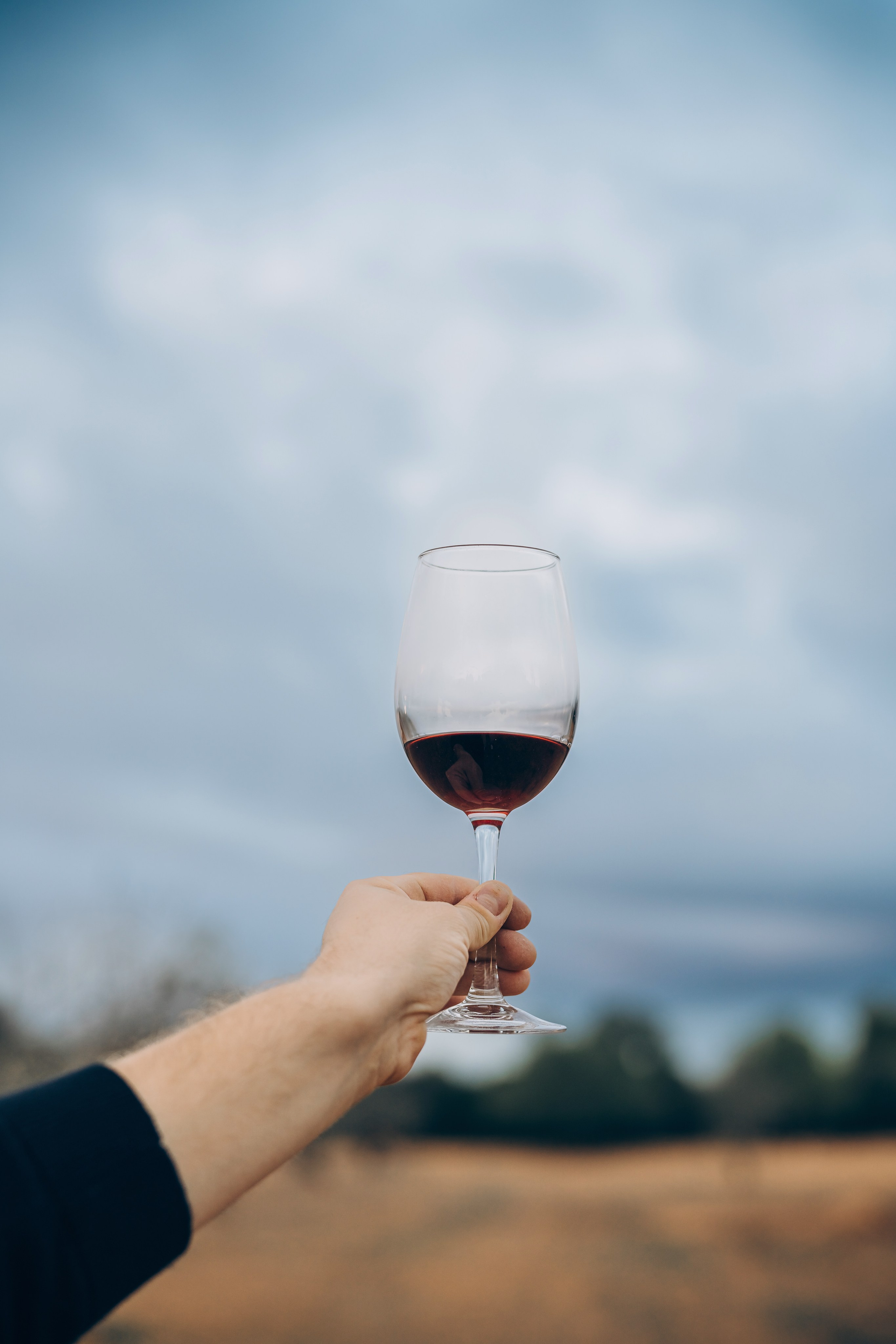 Winemaker. Фотограф Пальма де Майорка