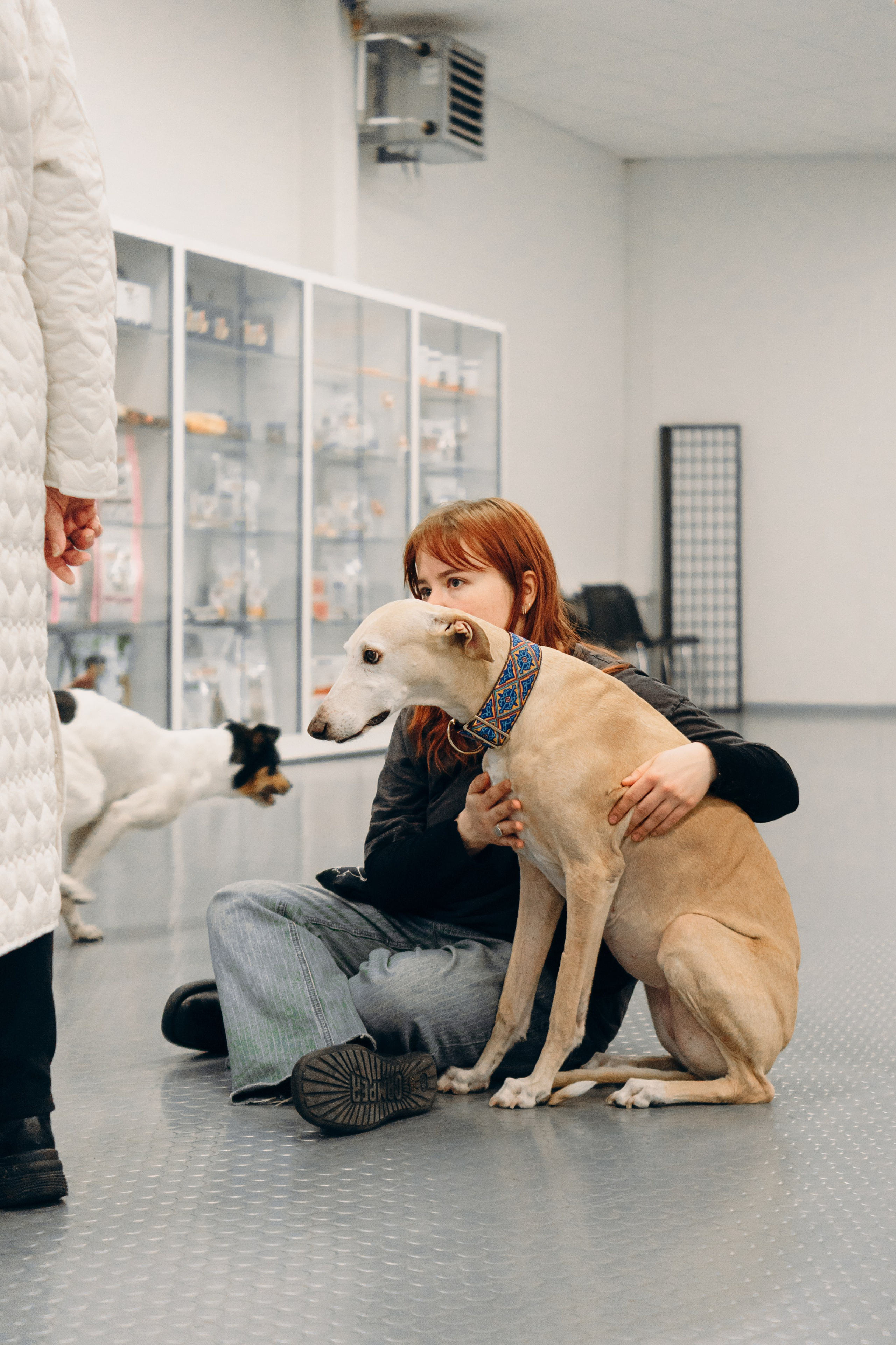 GalgoTreff / PetCity Rannamõisa, 13 apr. 2025. Kat Laisaar — Pet photographer in Tallinn