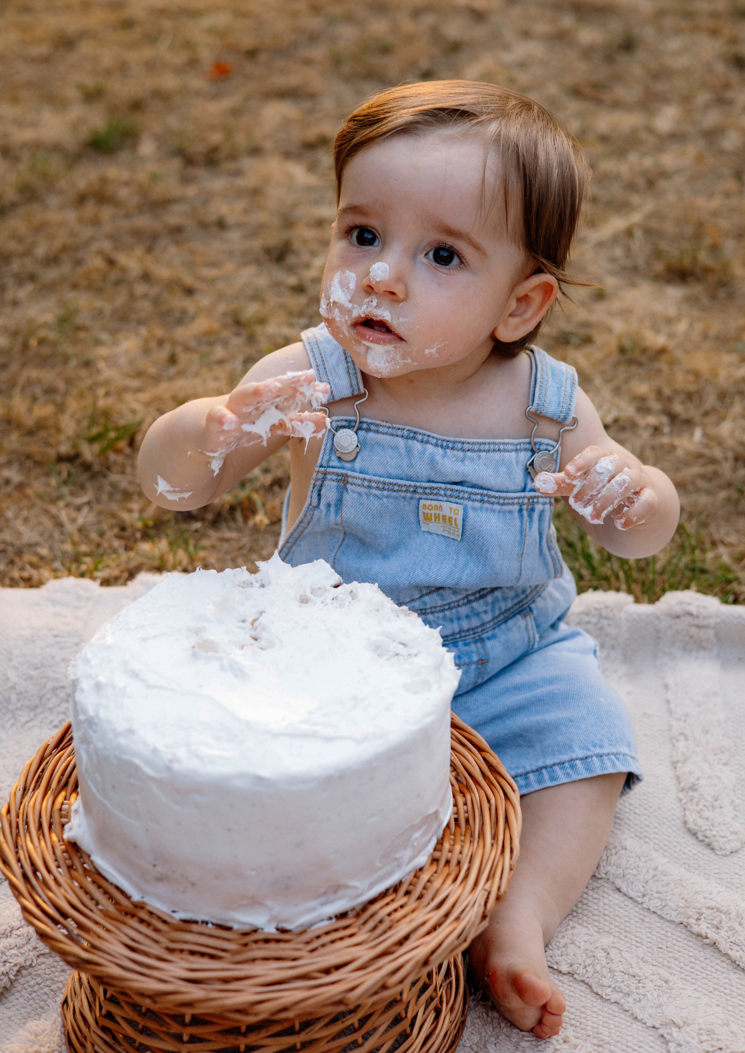 Smash Cake Photography. Family and Wedding Photographer