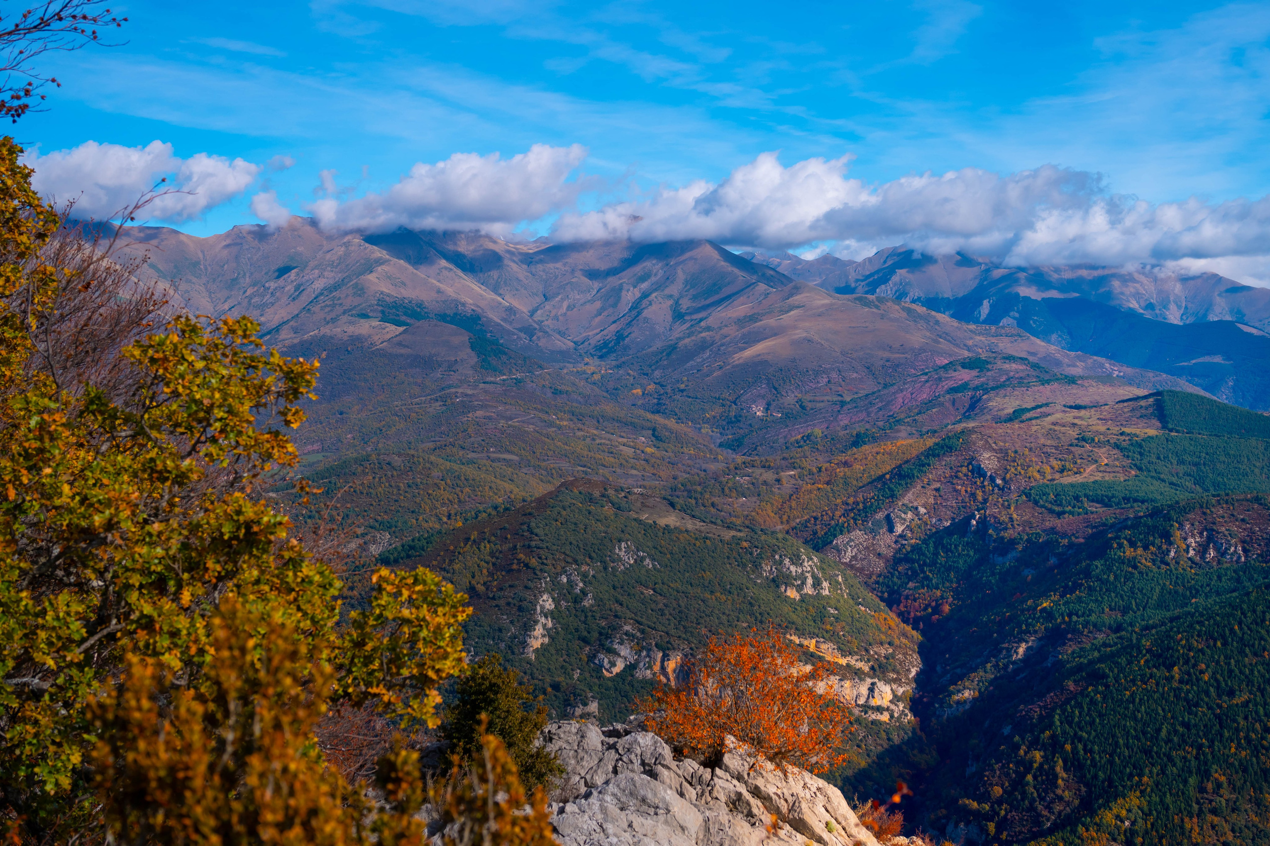 Ruta Otoño. Alba del Norte Studio