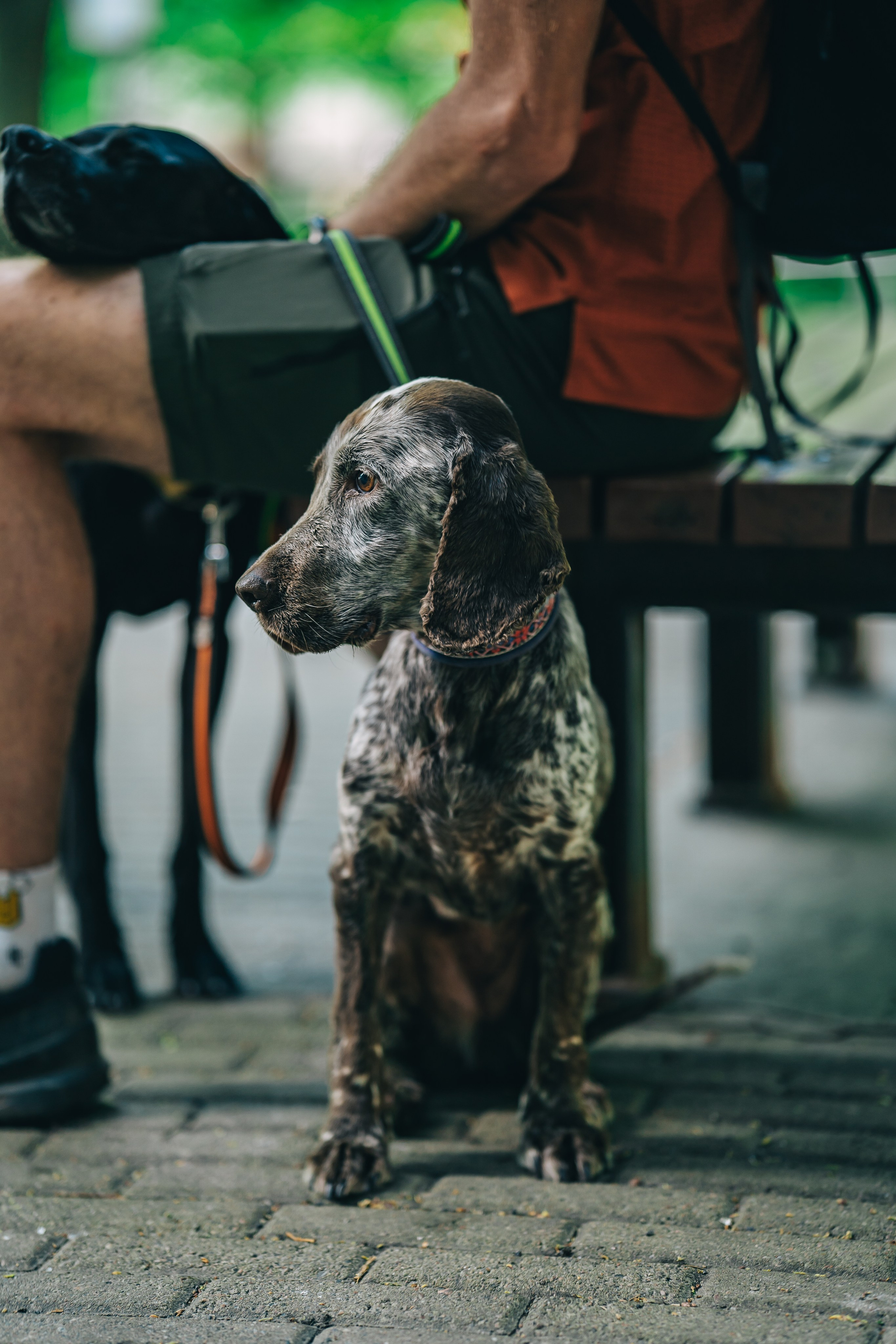 Street photo. Uvarovsphoto