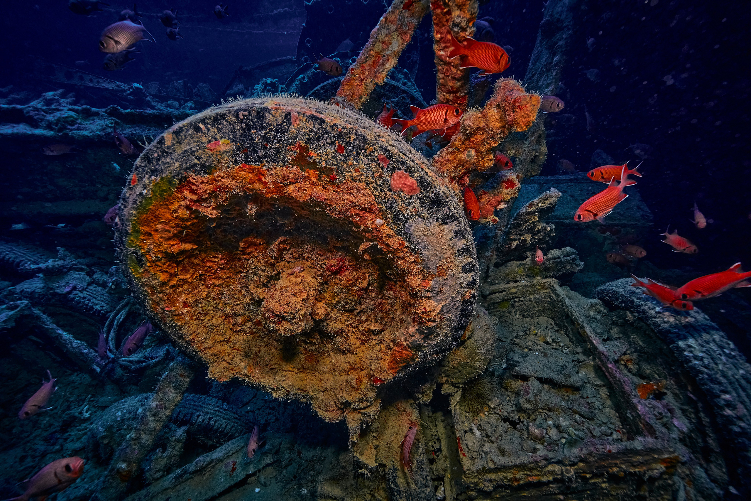 Underwater photographer Andriej Szypilow - photos of the mysterious SS Thistlegorm - sunken ship in the red sea