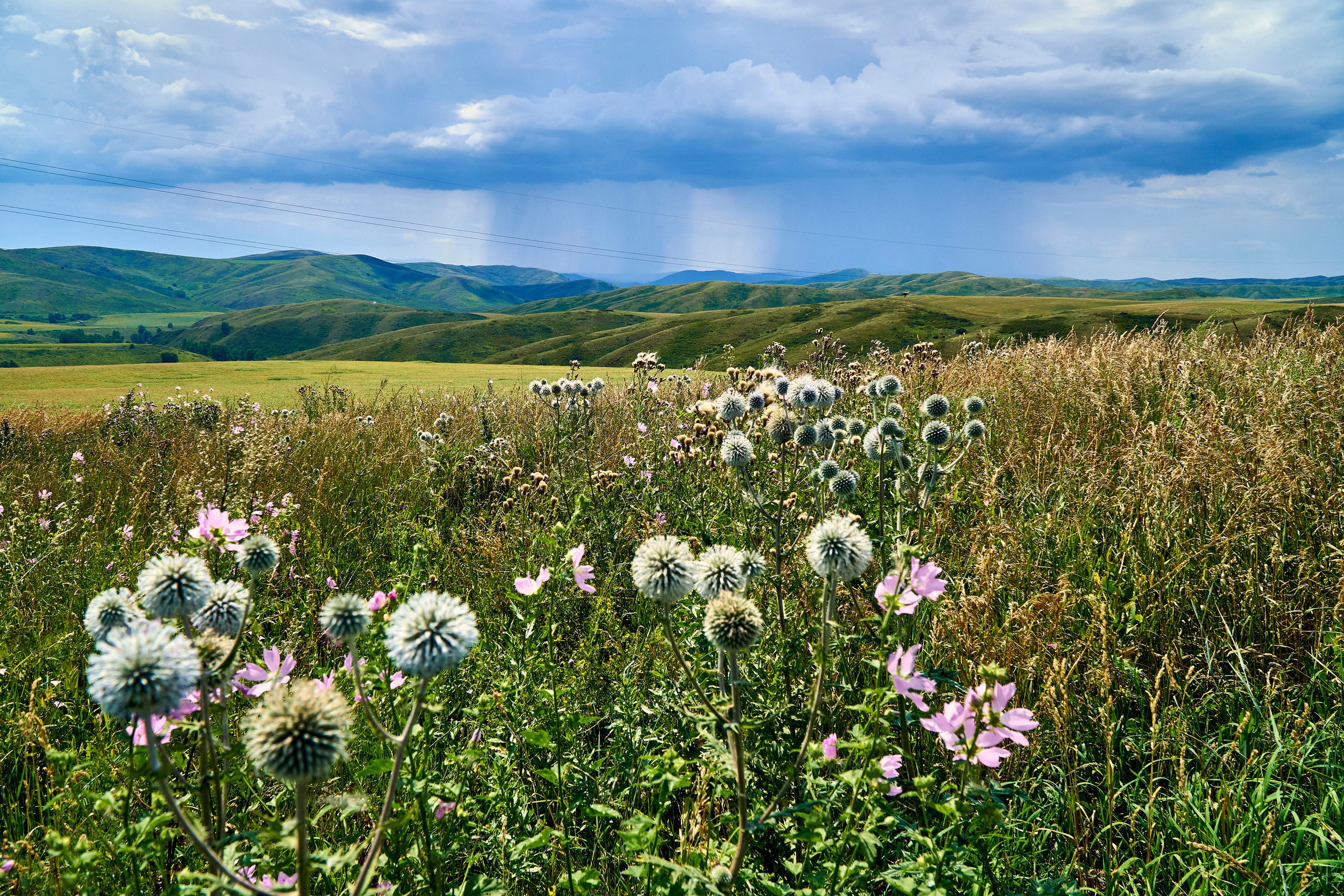 Buchtarma (Kazachstan). Andriej Szypilow - Fotografia & Wideografia
