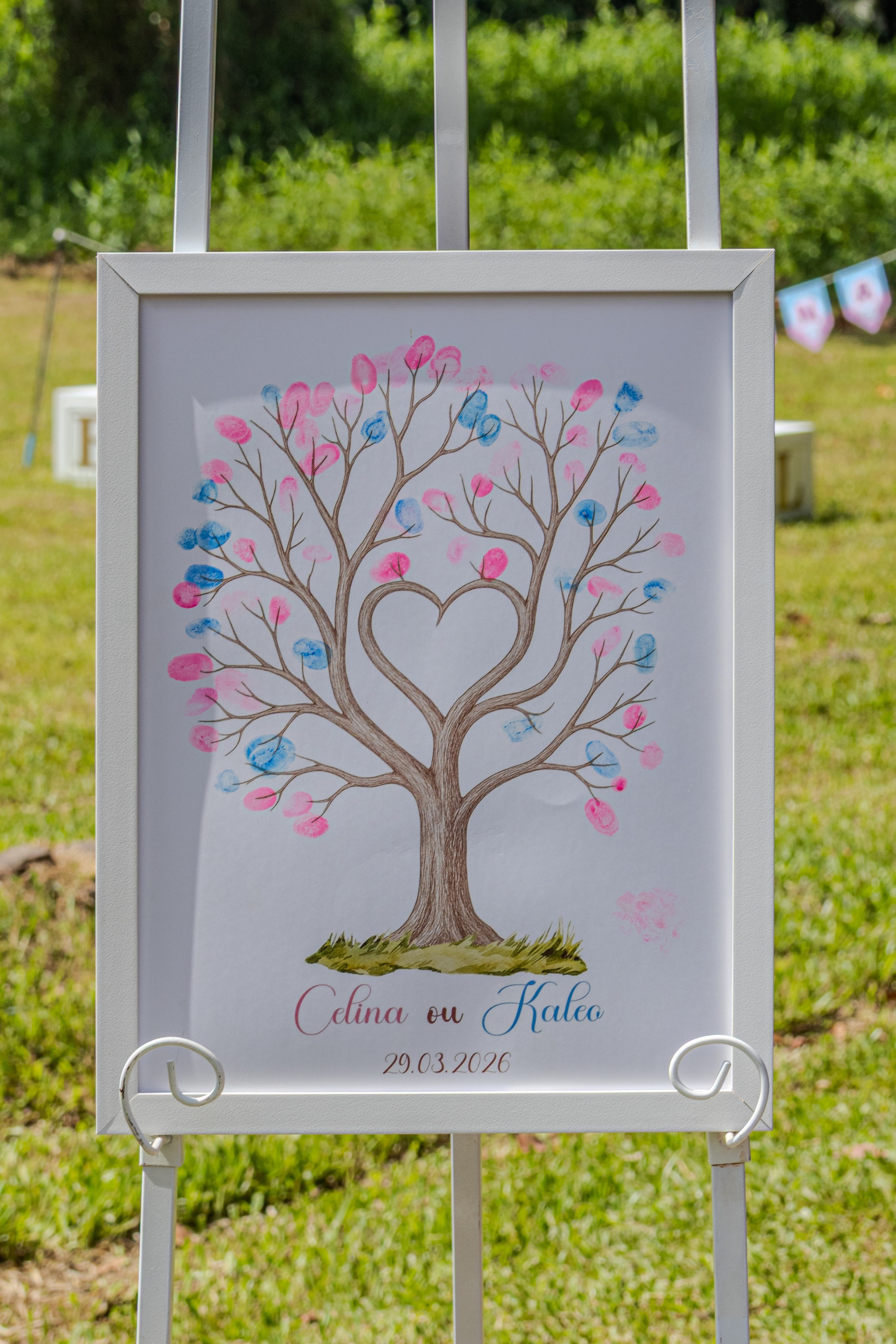 Chá de Bebê. Edilene Silva Fotografa Profissional