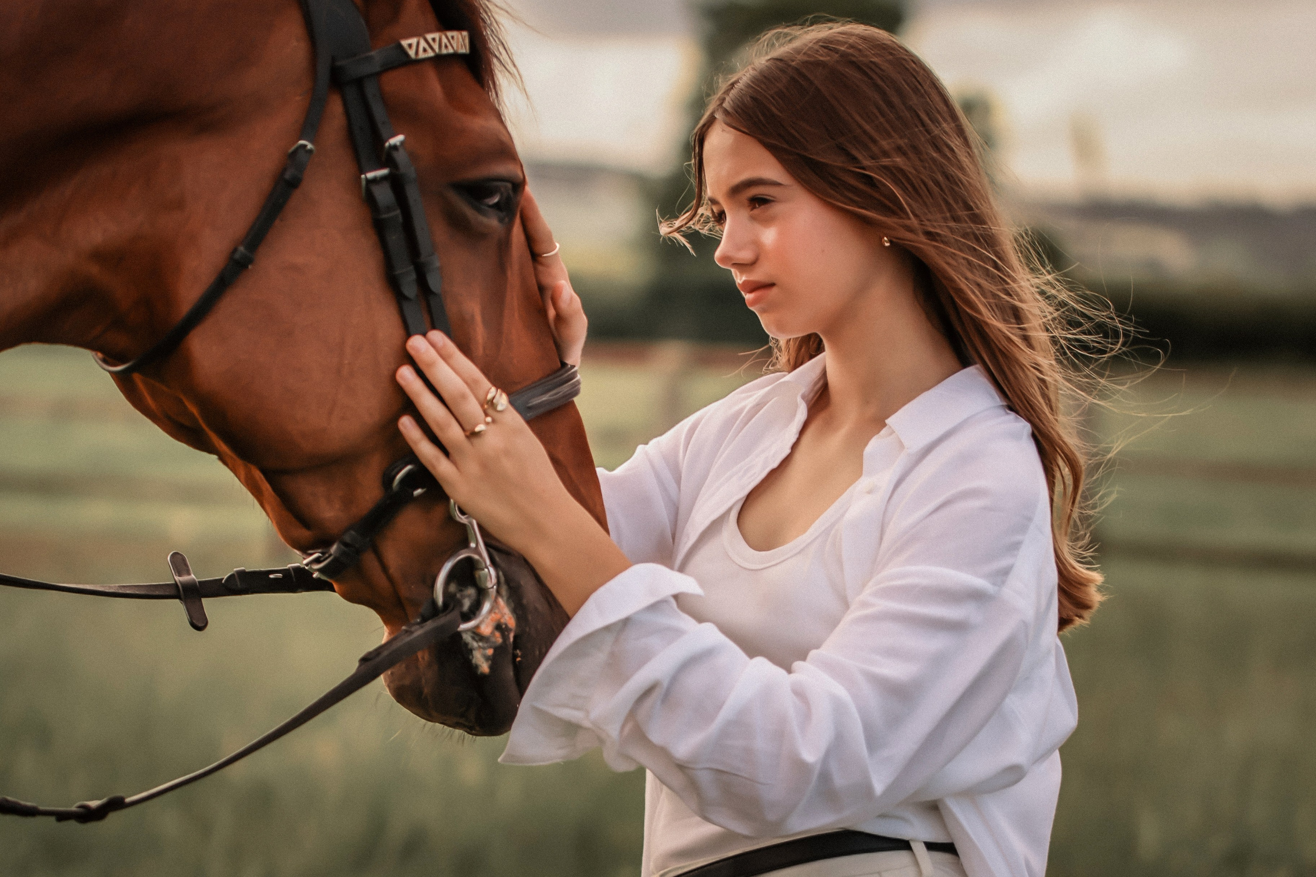 Among the Horses. Photographer Co Dublin, Balbriggan — Agata Maliseva