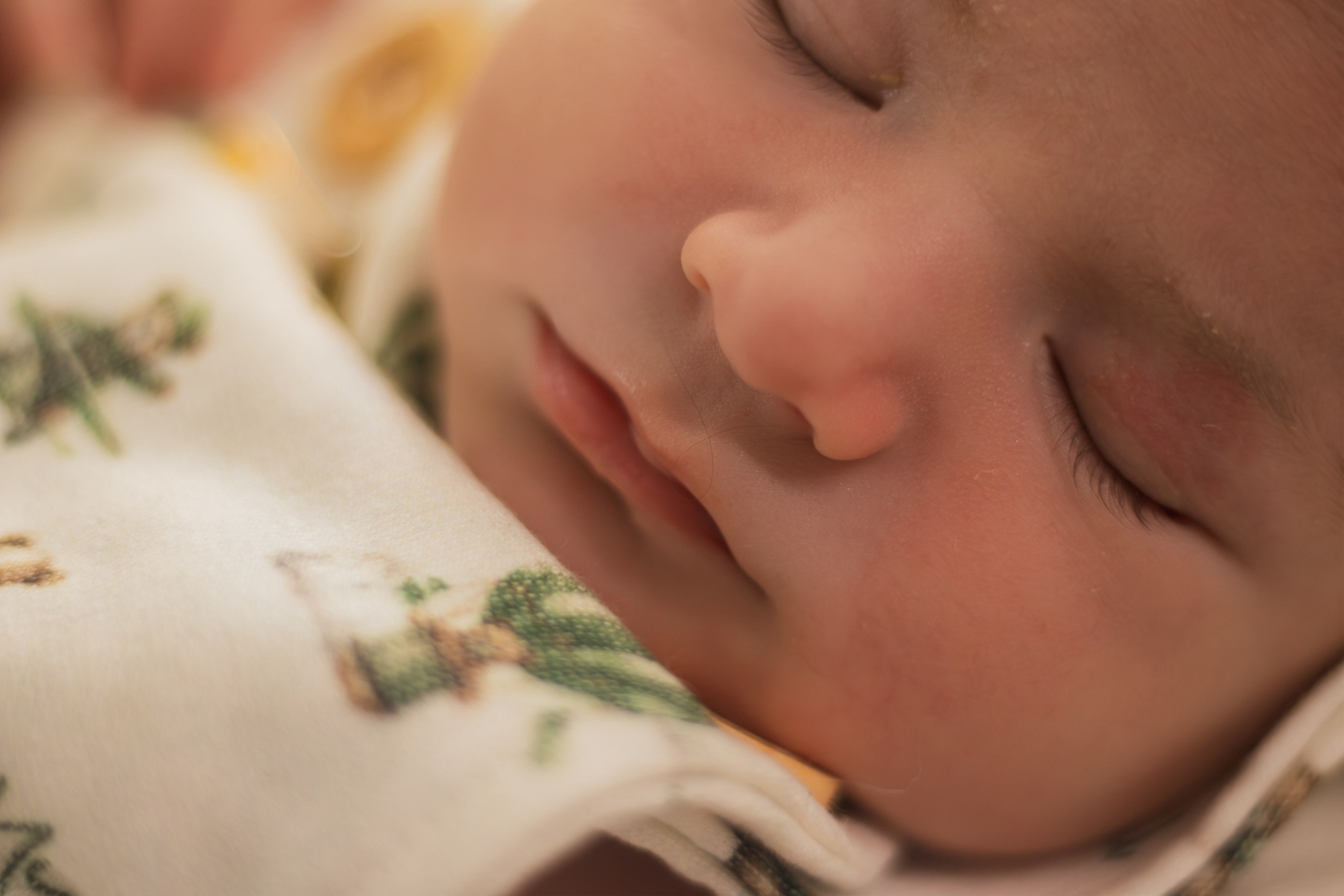 Ensaio Newborn em Sombrio. Fotografia de Recém-Nascido. Oukla Estúdio