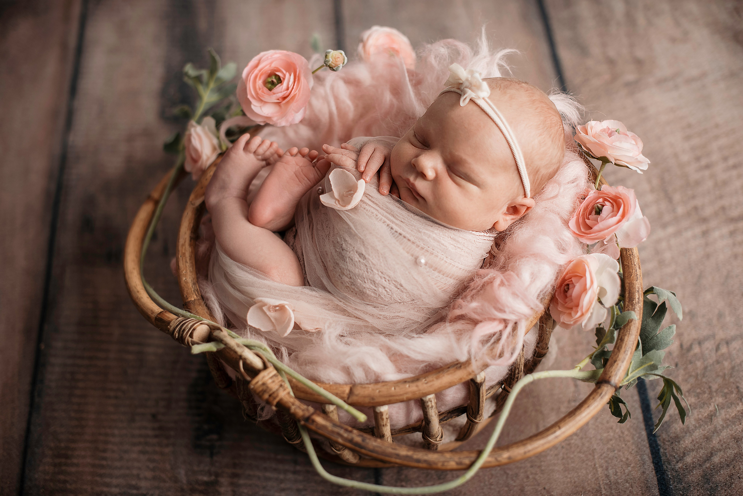 Felicity Ann. Newborn, pregnancy, family photographer in New Jersey