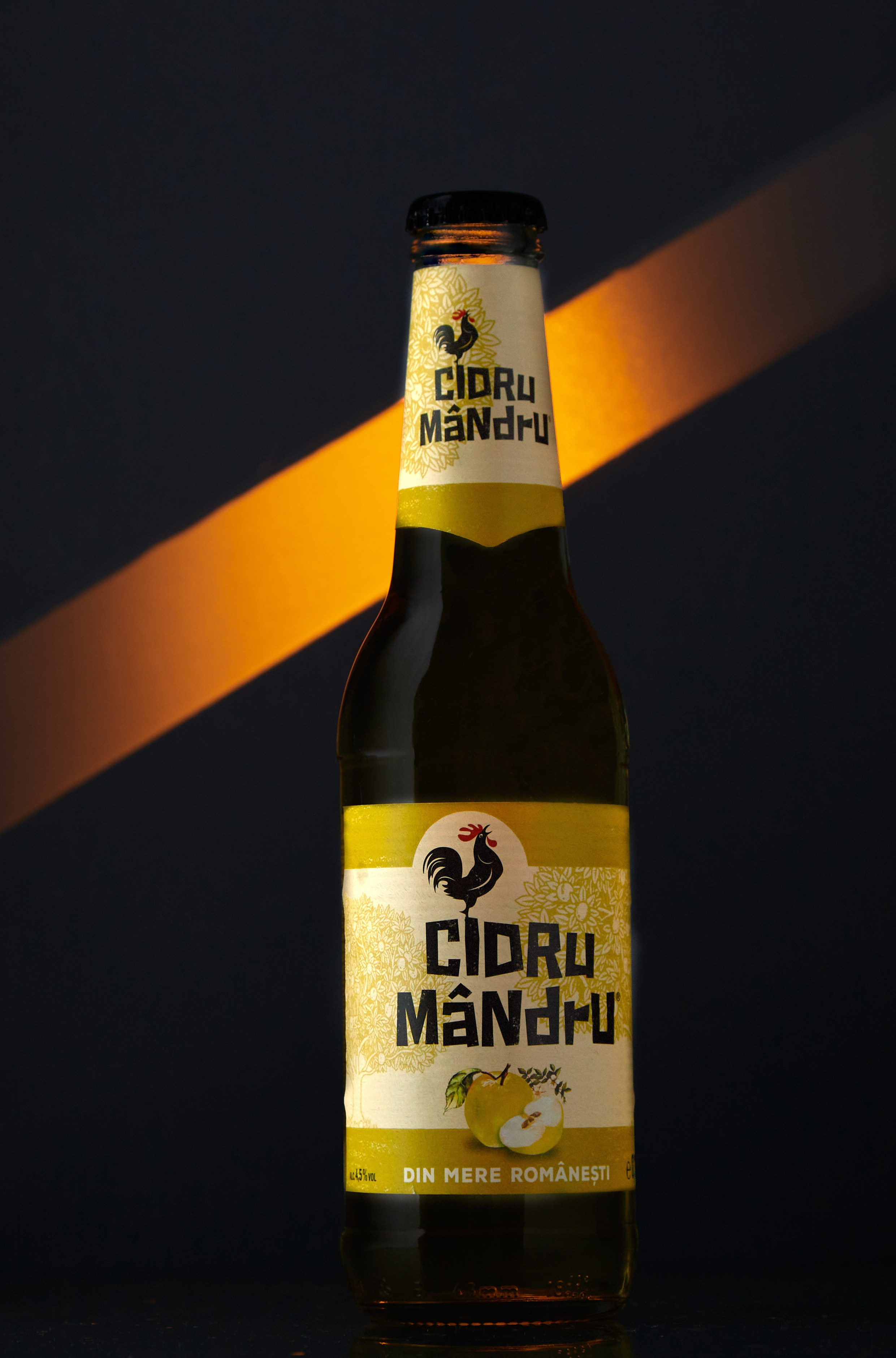 Product and food photographer in Brasov, Romania