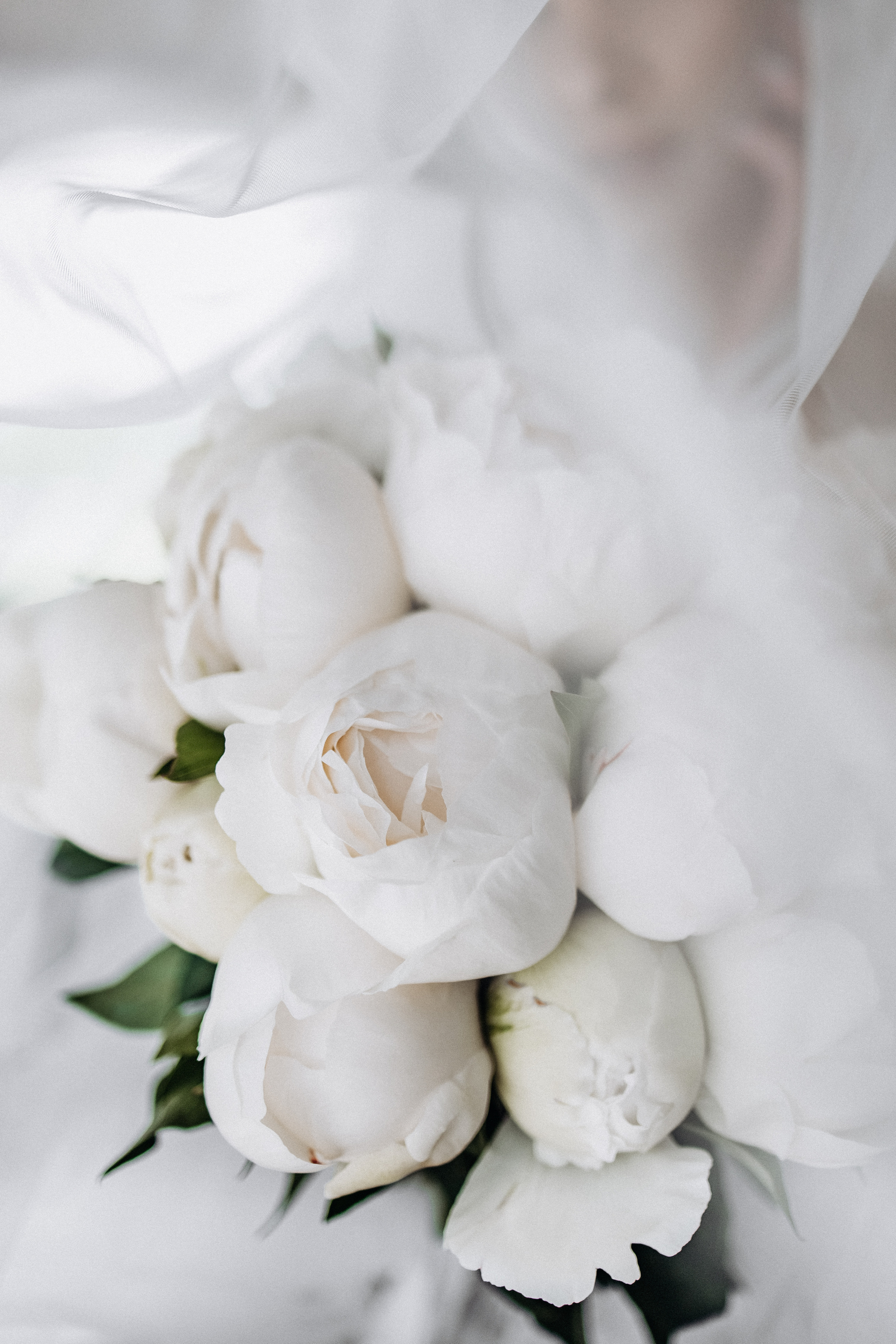 Anastasia & Roman. Свадебный и семейный фотограф портретист в Украине Стоганенко Валерия