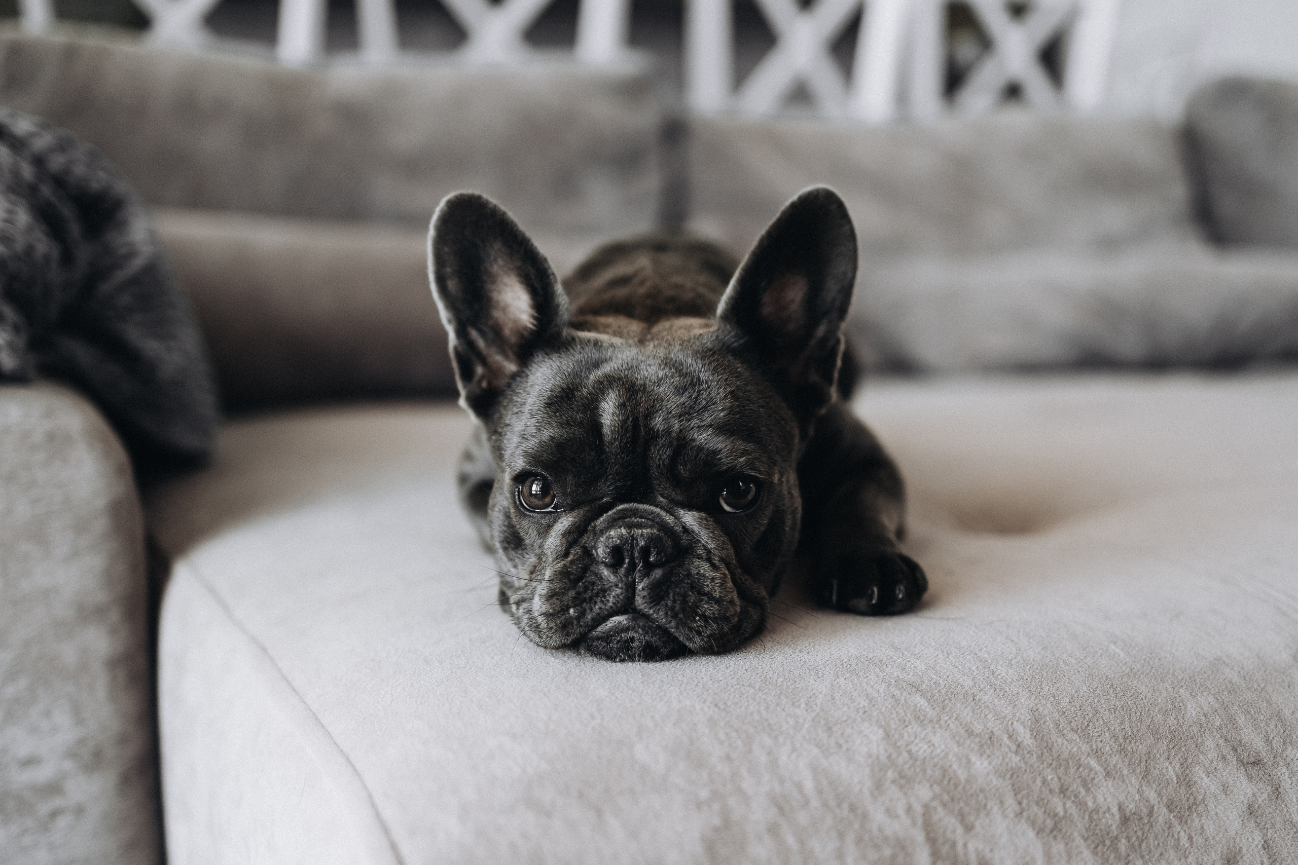 Forever starts here. Свадебный и семейный фотограф портретист в Украине Стоганенко Валерия