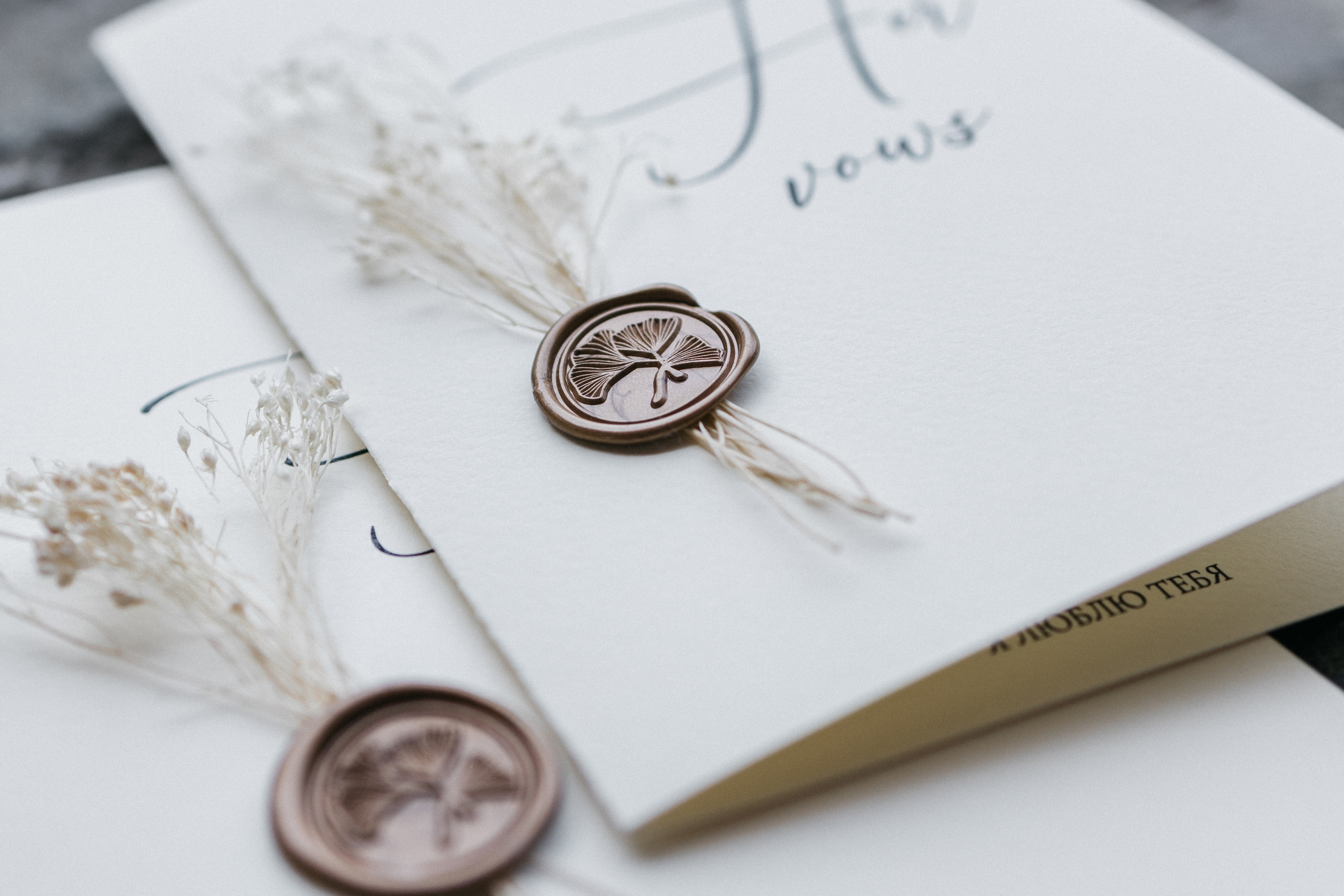 Anastasia & Roman. Свадебный и семейный фотограф портретист в Украине Стоганенко Валерия