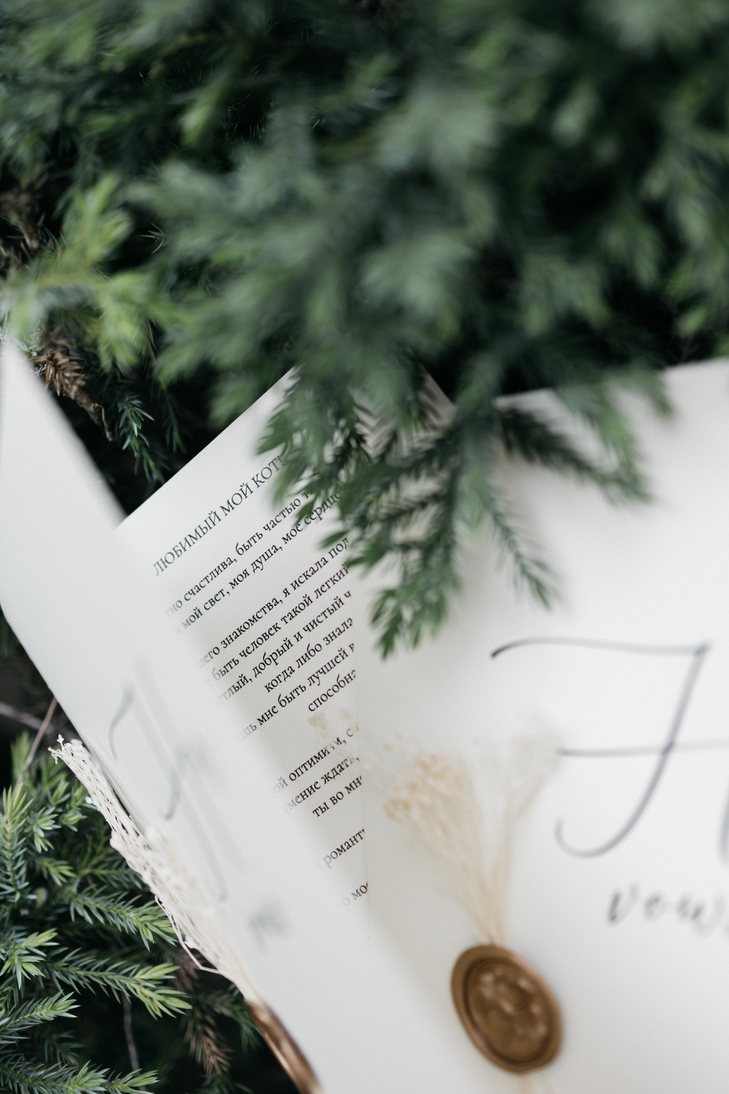 Anastasia & Roman. Свадебный и семейный фотограф портретист в Украине Стоганенко Валерия