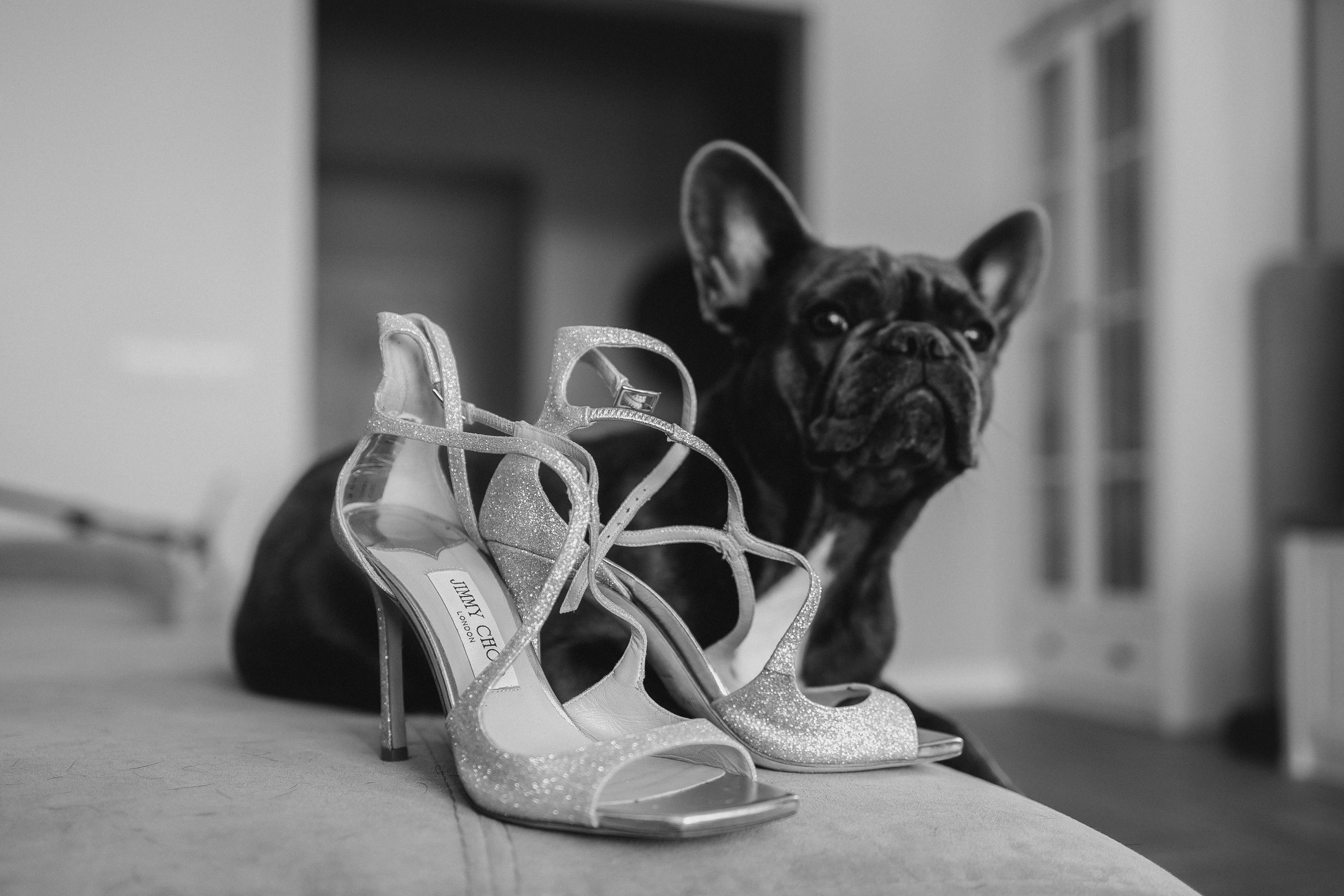 Forever starts here. Свадебный и семейный фотограф портретист в Украине Стоганенко Валерия