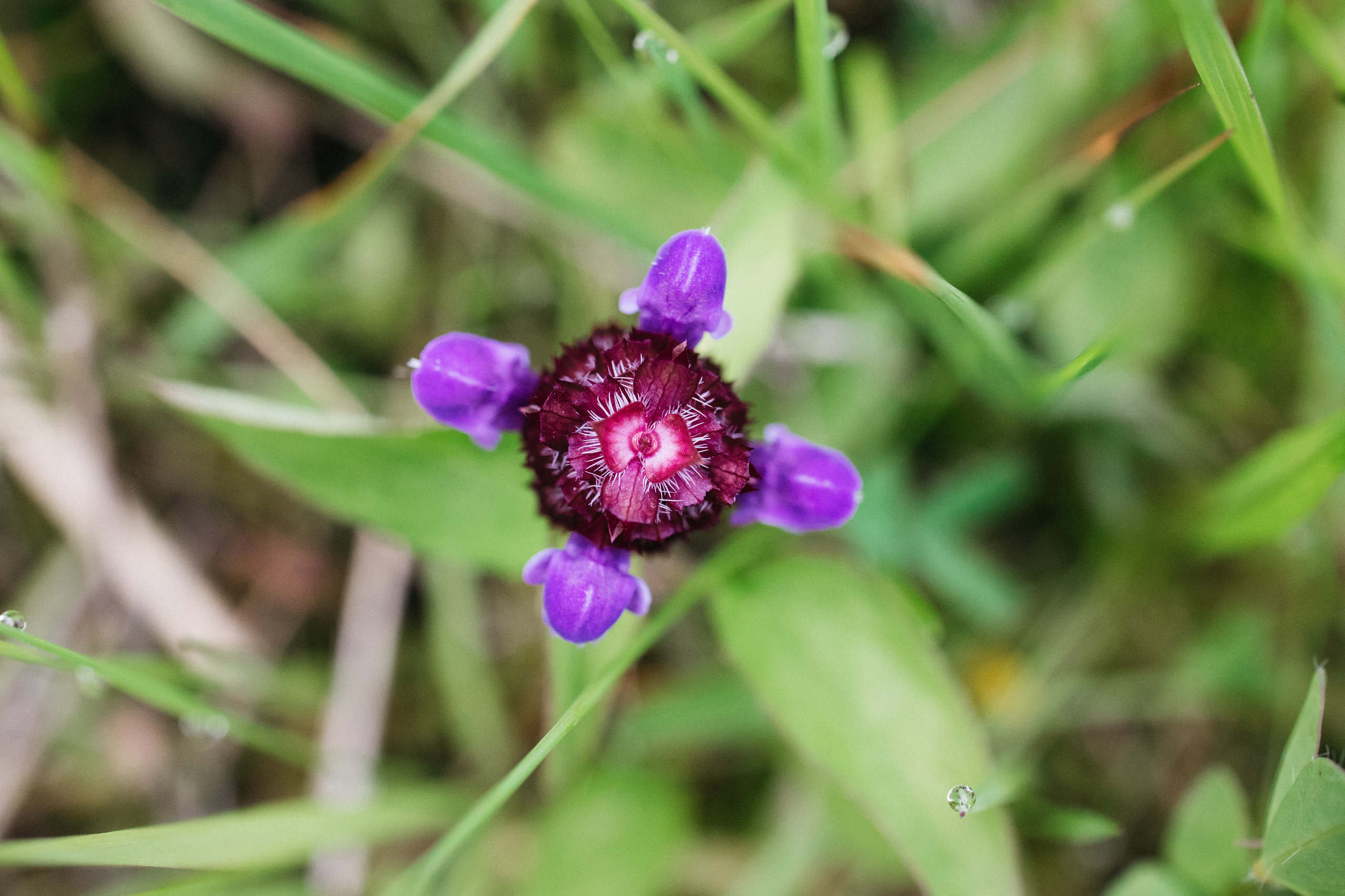 Baby Shower. Свадебный и семейный фотограф портретист в Украине Стоганенко Валерия