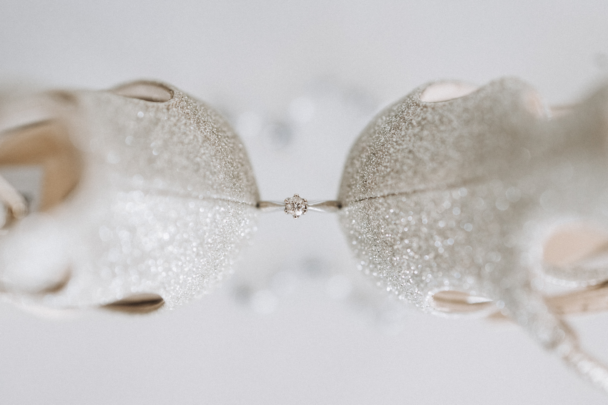 Forever starts here. Свадебный и семейный фотограф портретист в Украине Стоганенко Валерия