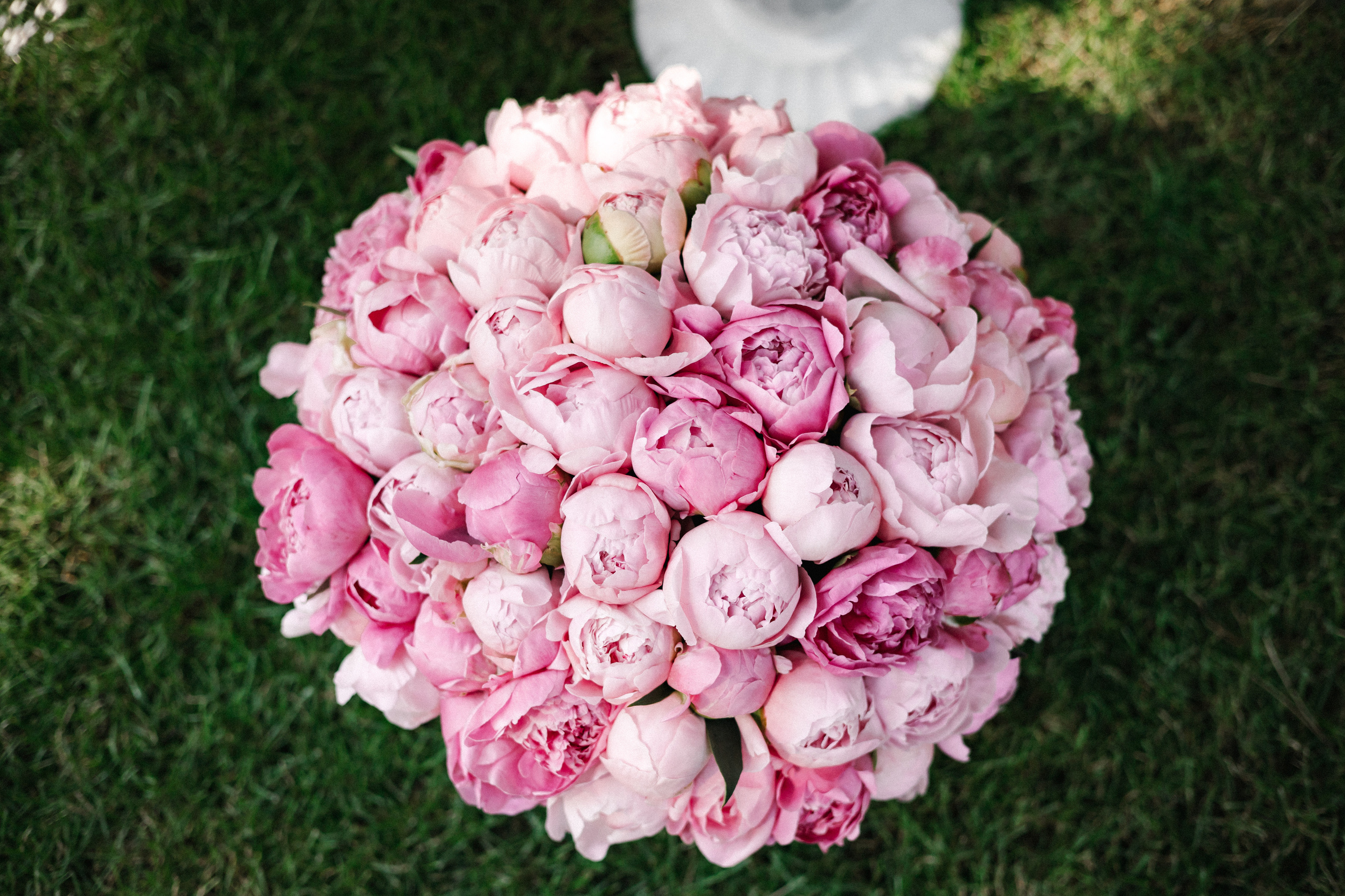 Anastasia & Roman. Свадебный и семейный фотограф портретист в Украине Стоганенко Валерия