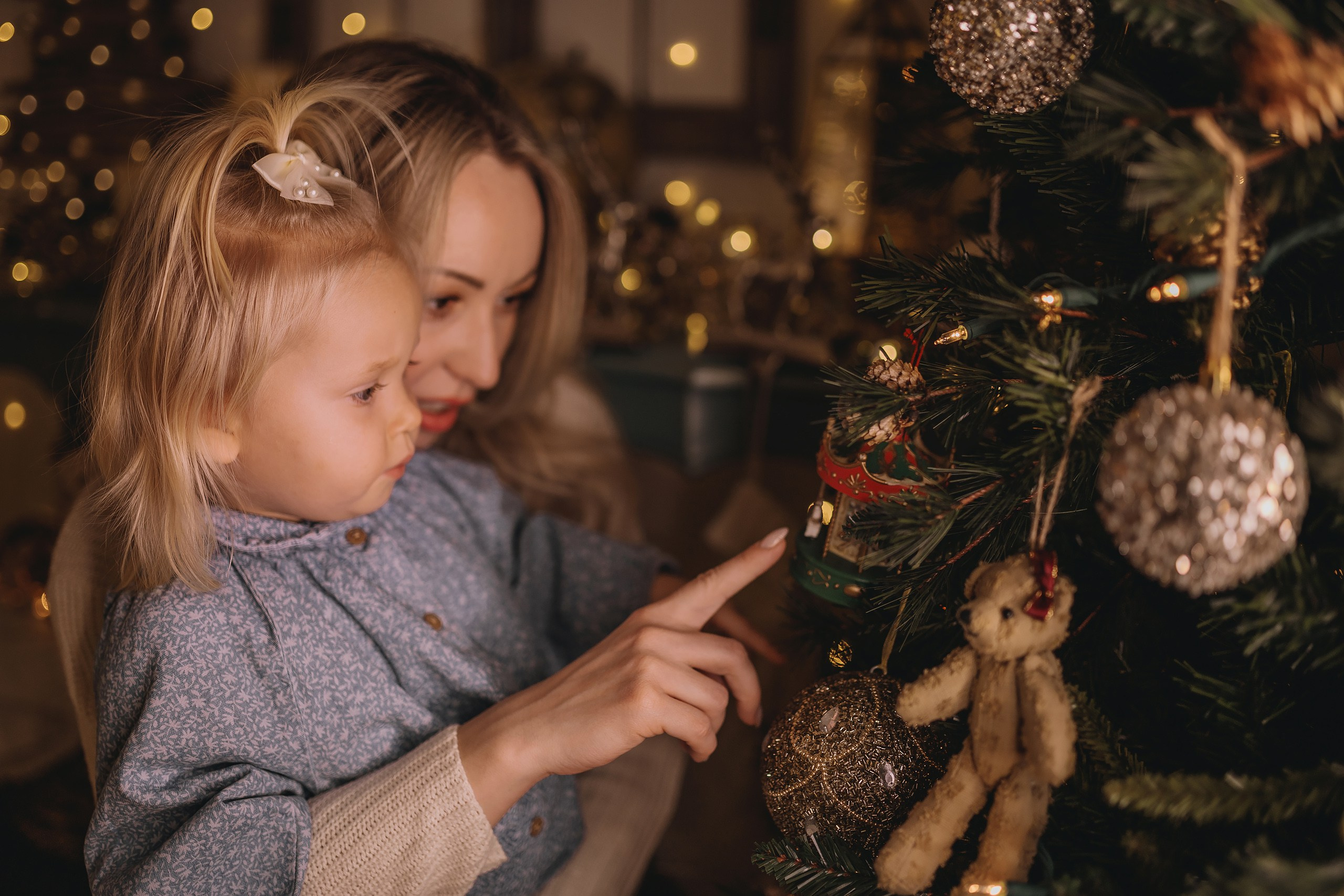 12.08.2025 Christmas Photoshoot. Wedding family event photographer in Chicago Nick Yushevich