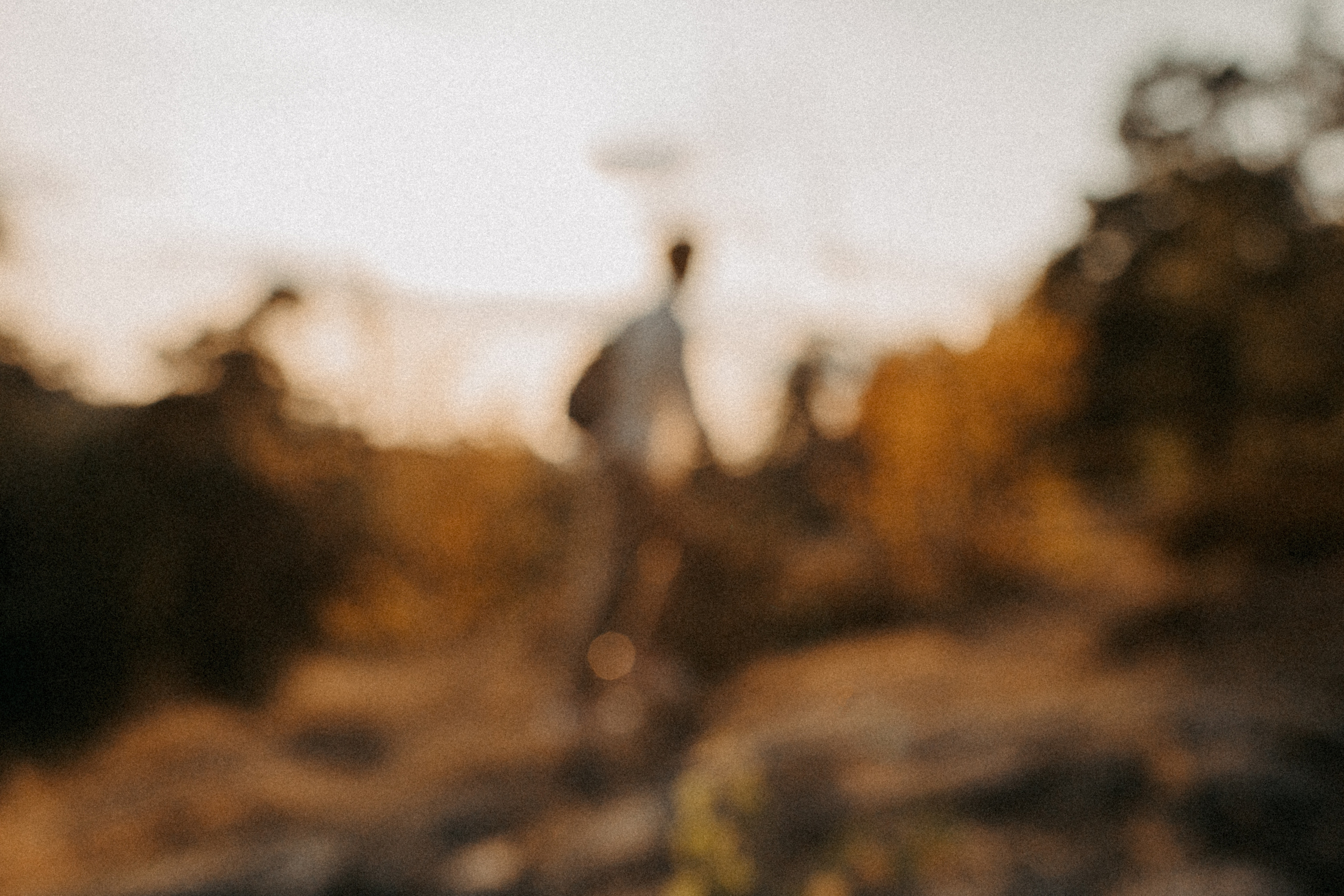 Машина часу. Family photographer in Stockholm Oksana Matviyiv