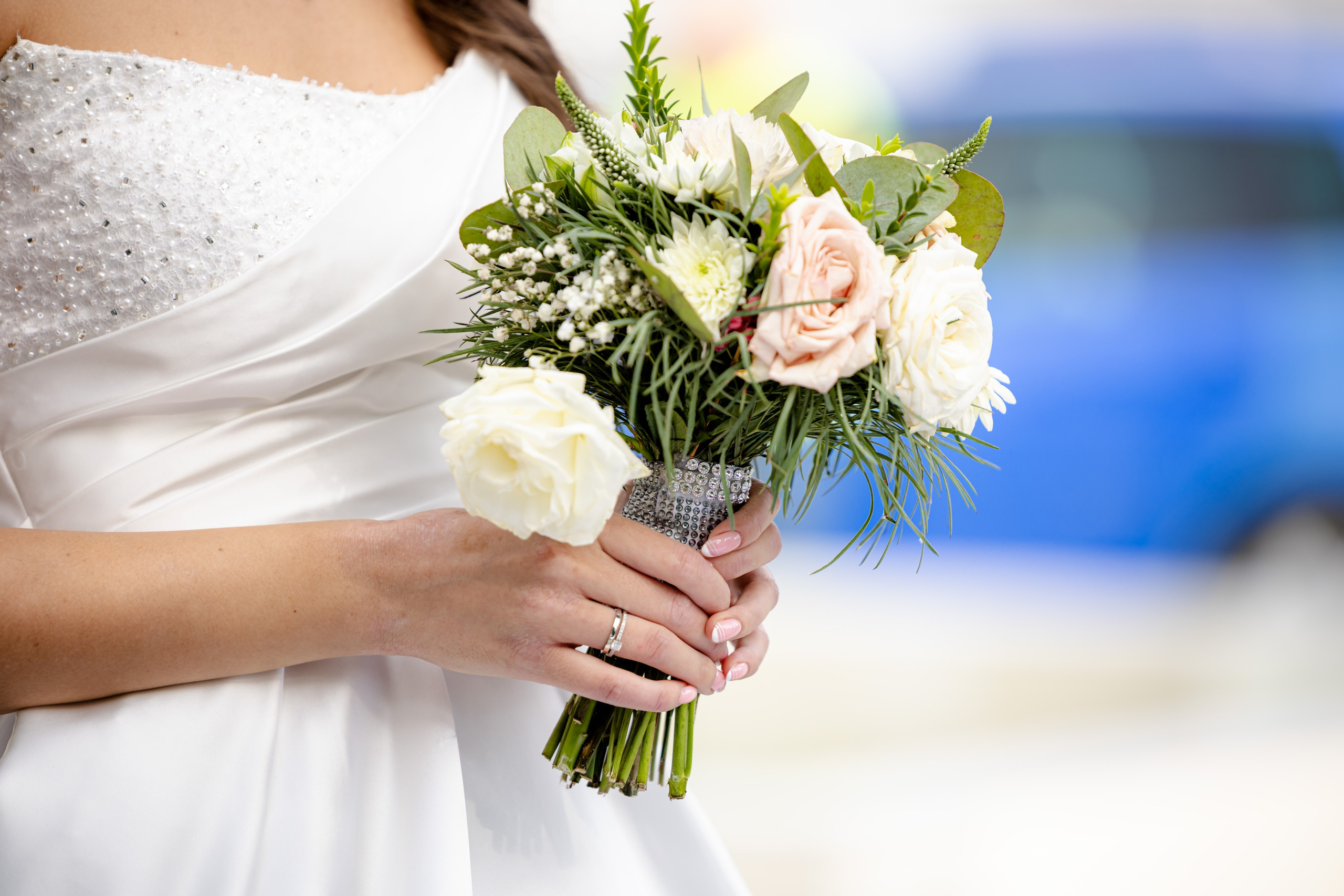 Leona&Petar. Fotografisanje svadbi, Novi Sad|Dream Point Wedding