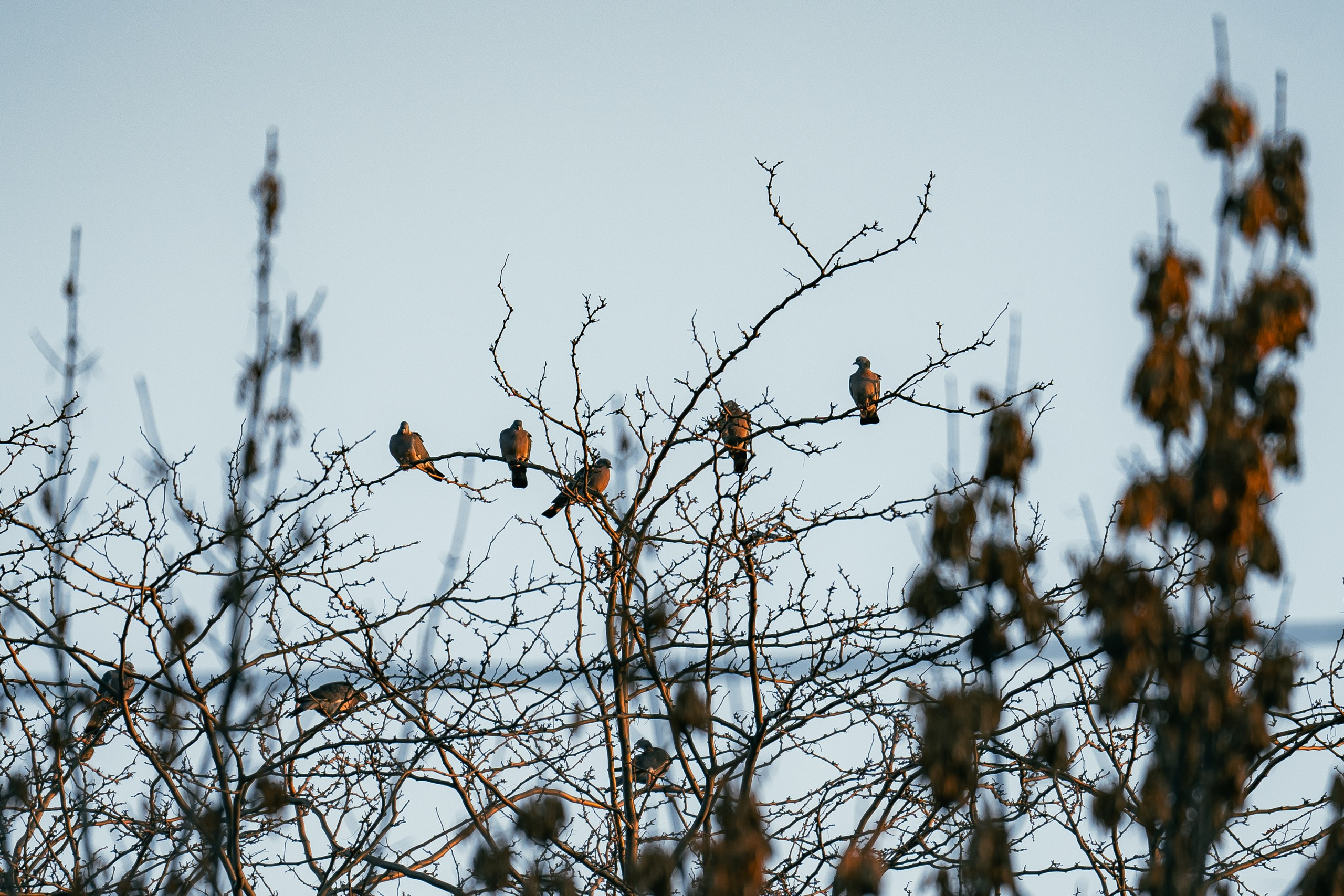 Ташкентская осень. Георгий Намазов | Фотограф в Ташкенте