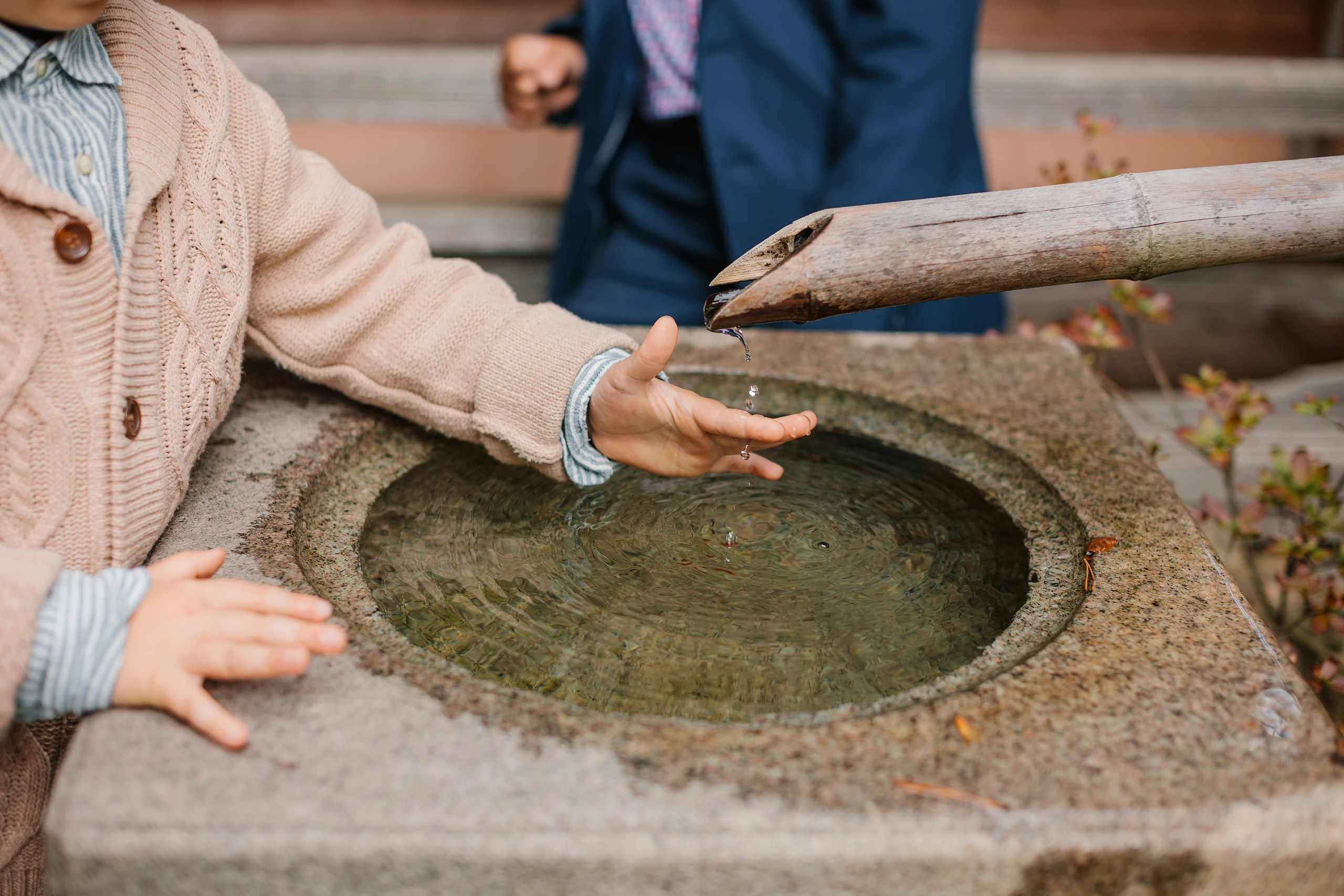 10.08.23 Family Photoshoot. Wedding family event photographer in Chicago Nick Yushevich