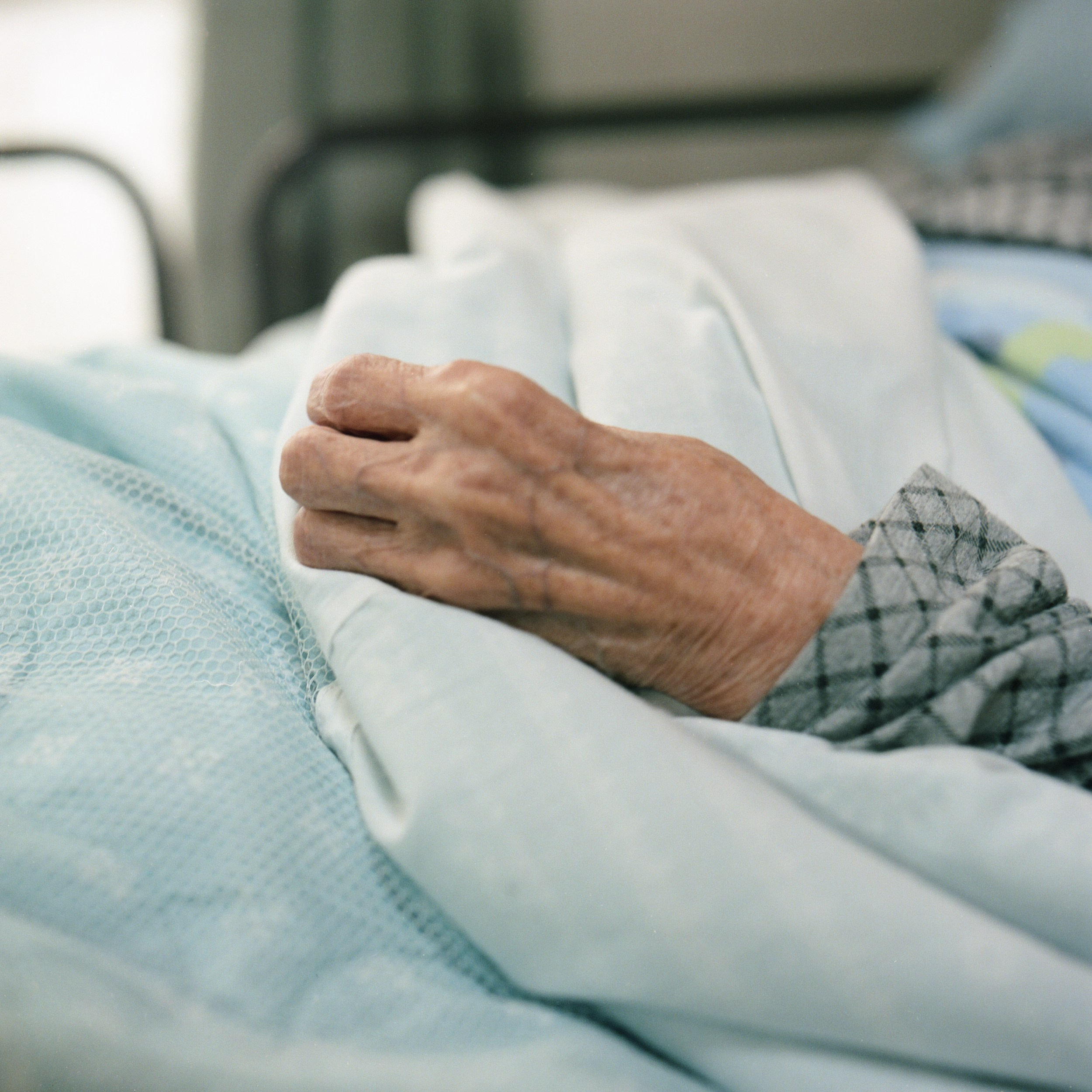 祖母とのヴァナキュラー. MT