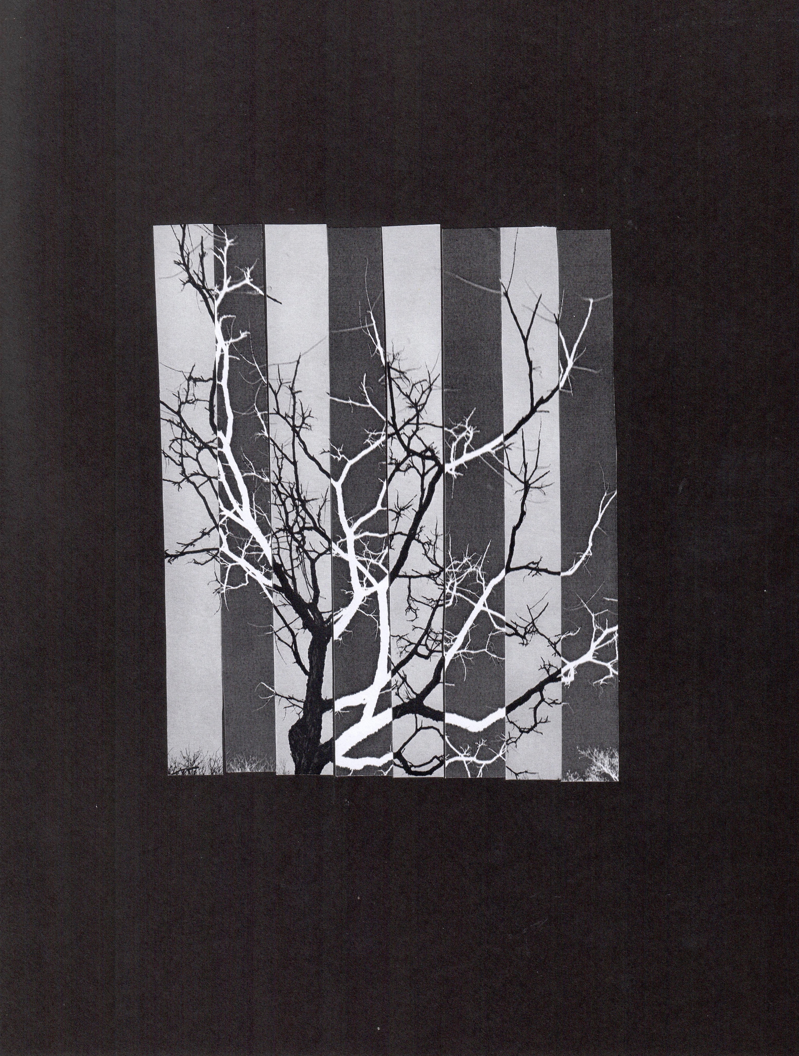 COLLAGES / MIXED MEDIA. Mixed media artist, photographer, visual artist New York