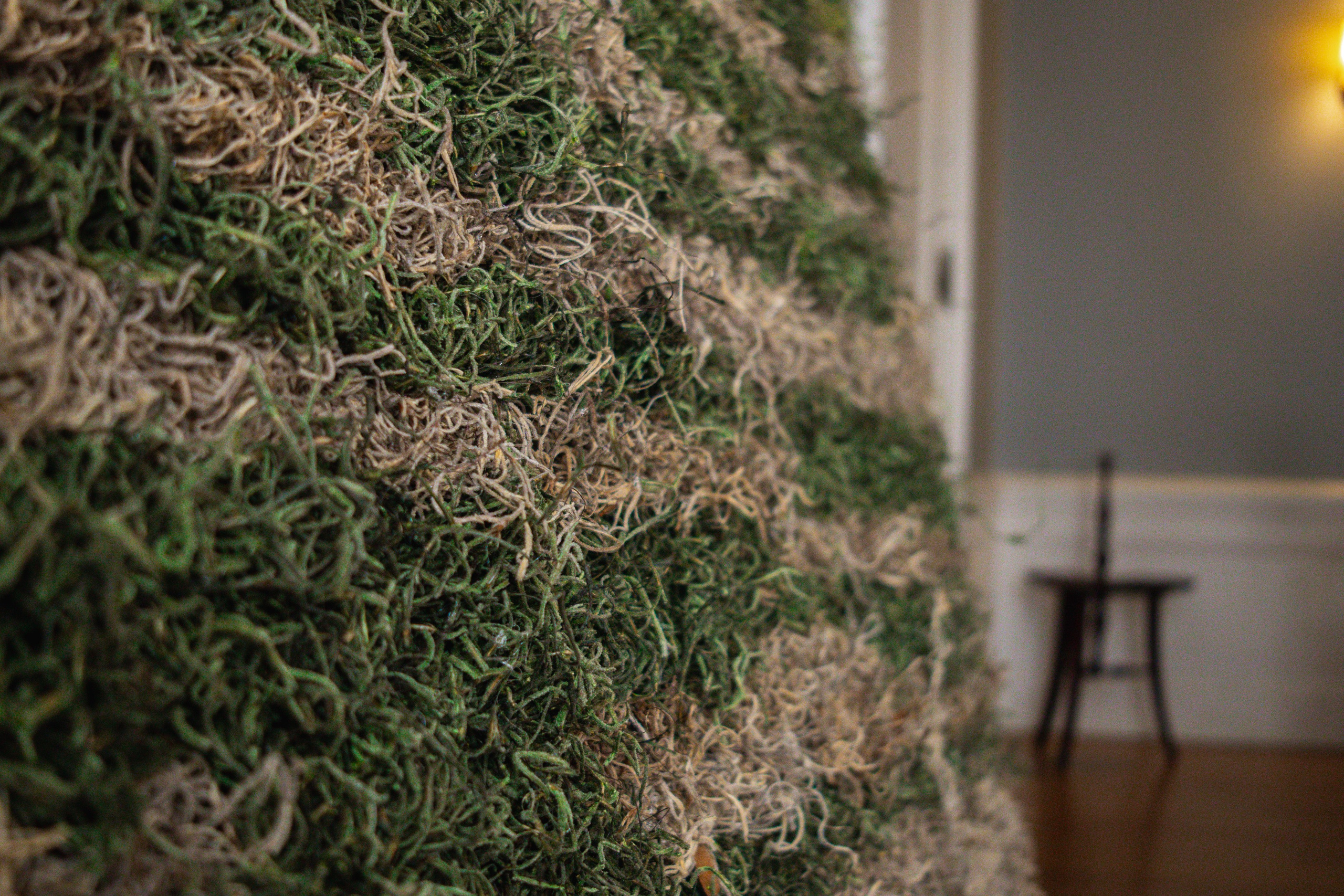 Anna & Moss magic, Content. Yana Bobrova | Artistic Photography