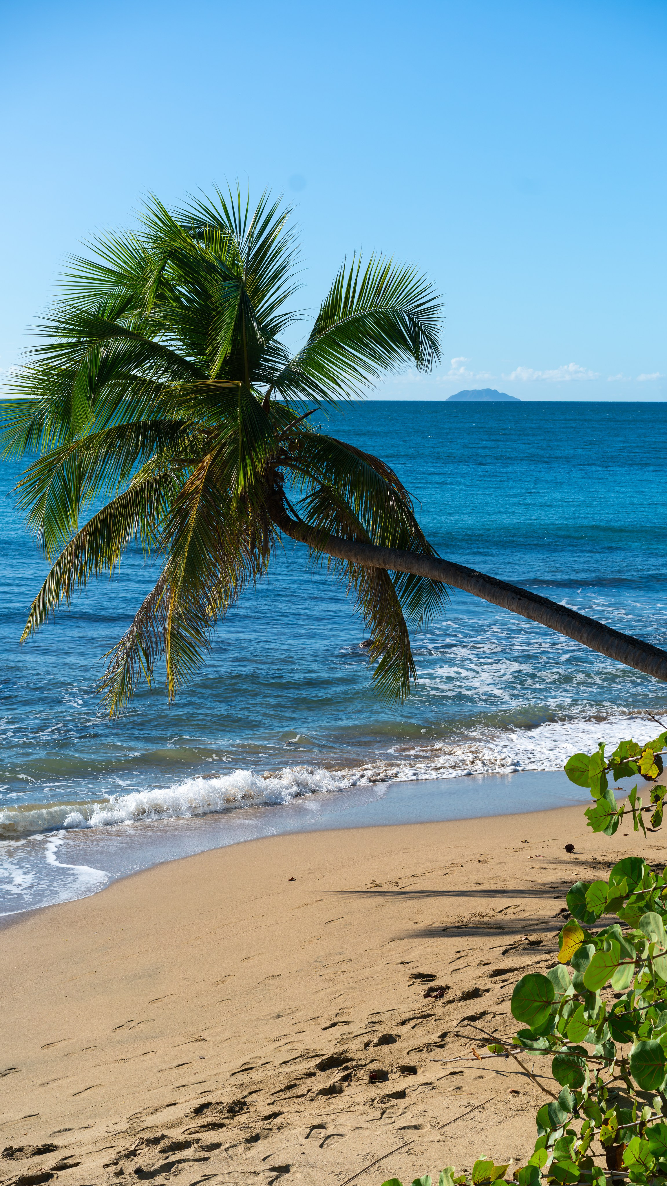 Natural Light. Manny Cruzado Photography