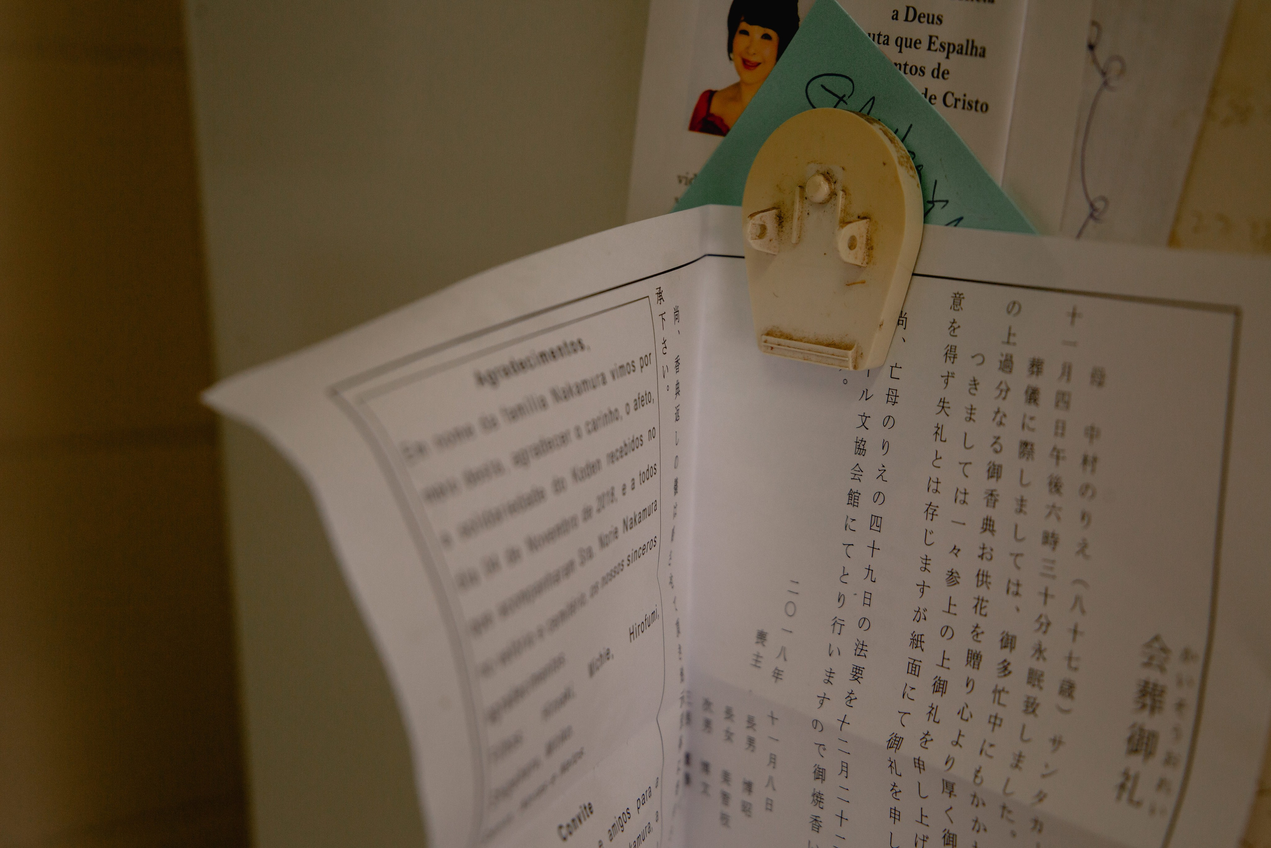 Documental Família Shimizu