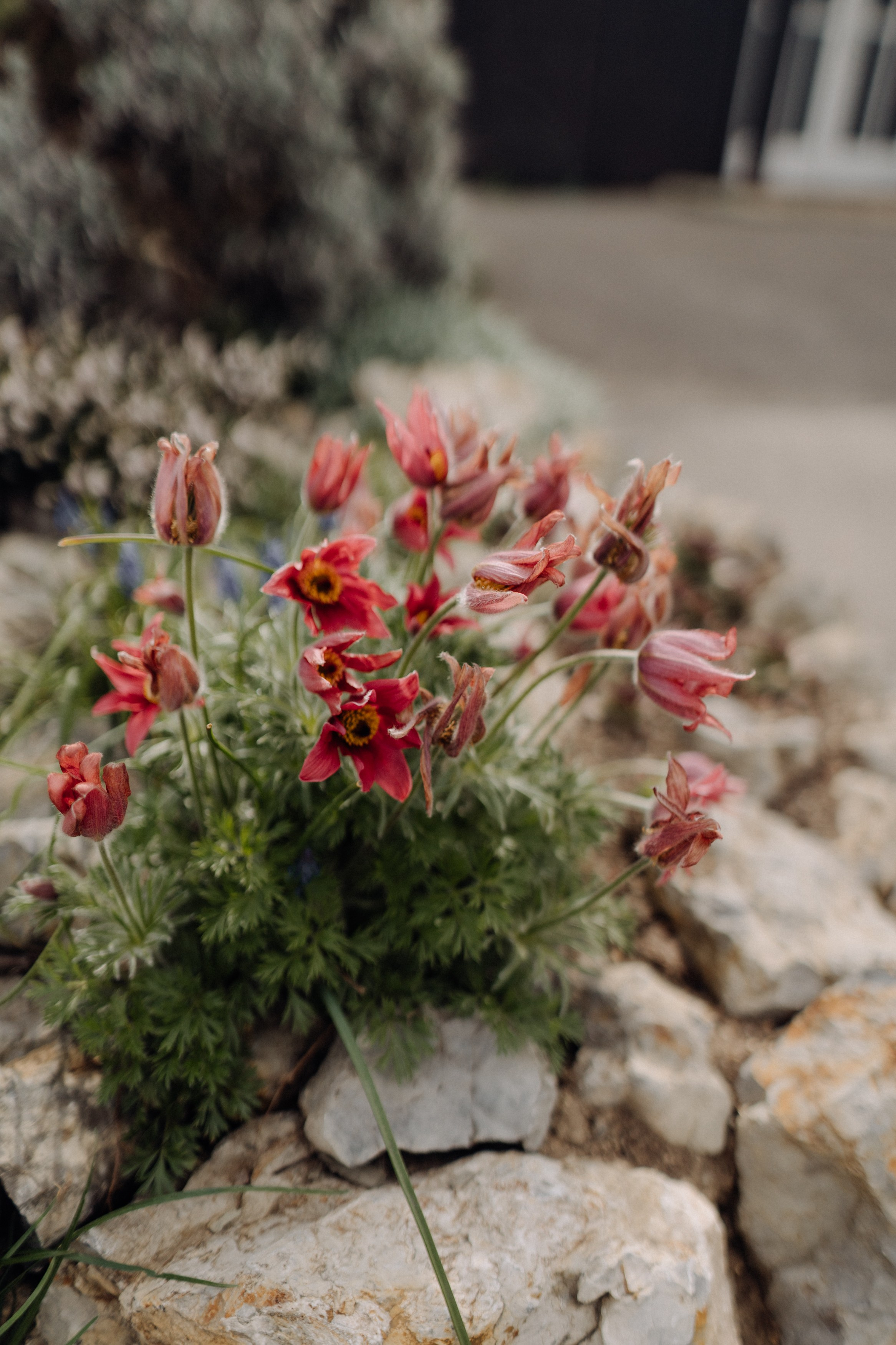 Nature. Фотограф в Праге Анна Лебедева