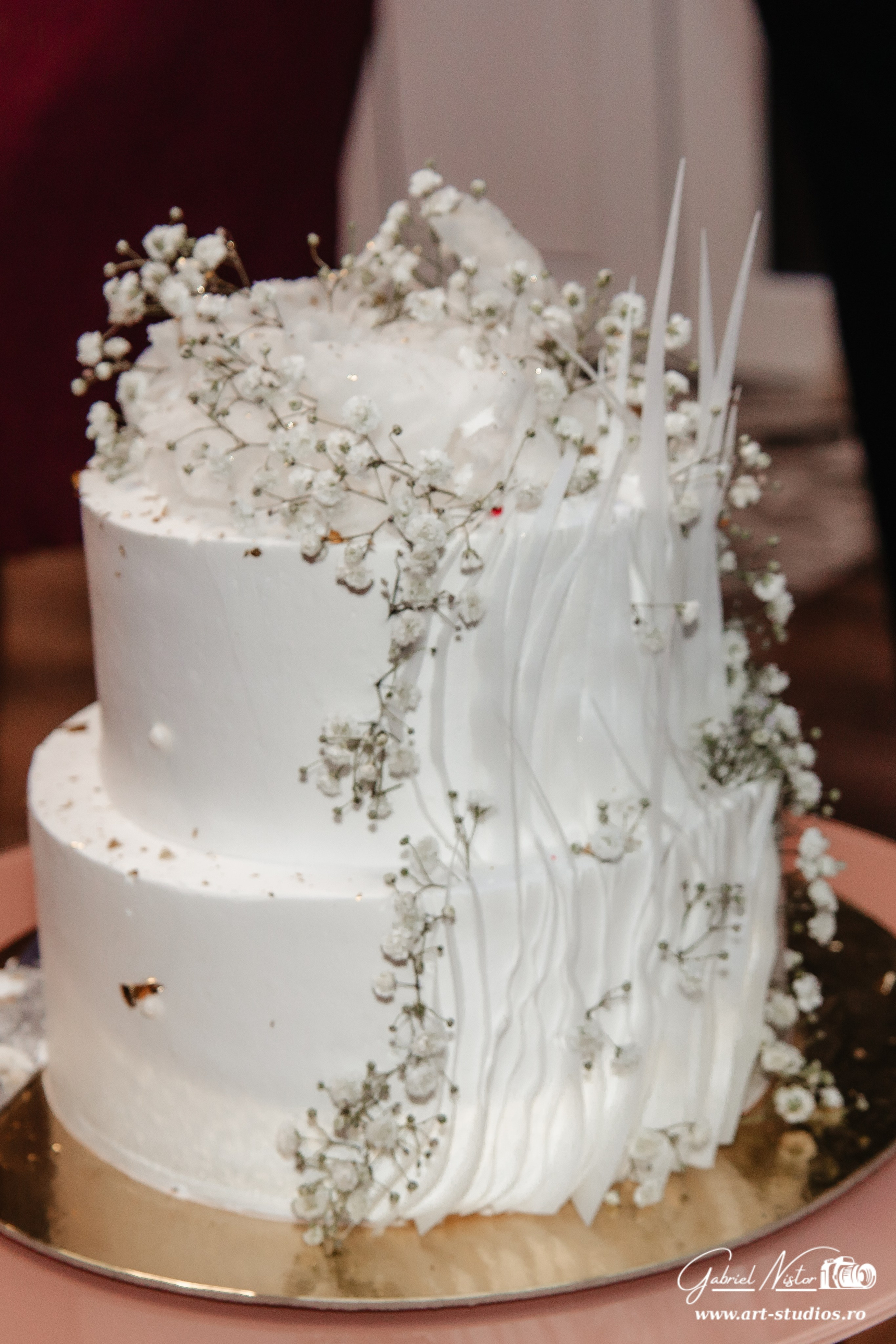 Nicoleta & Florin. Gabriel Nistor Art-Studios - Fotografo / Videografo Iasi