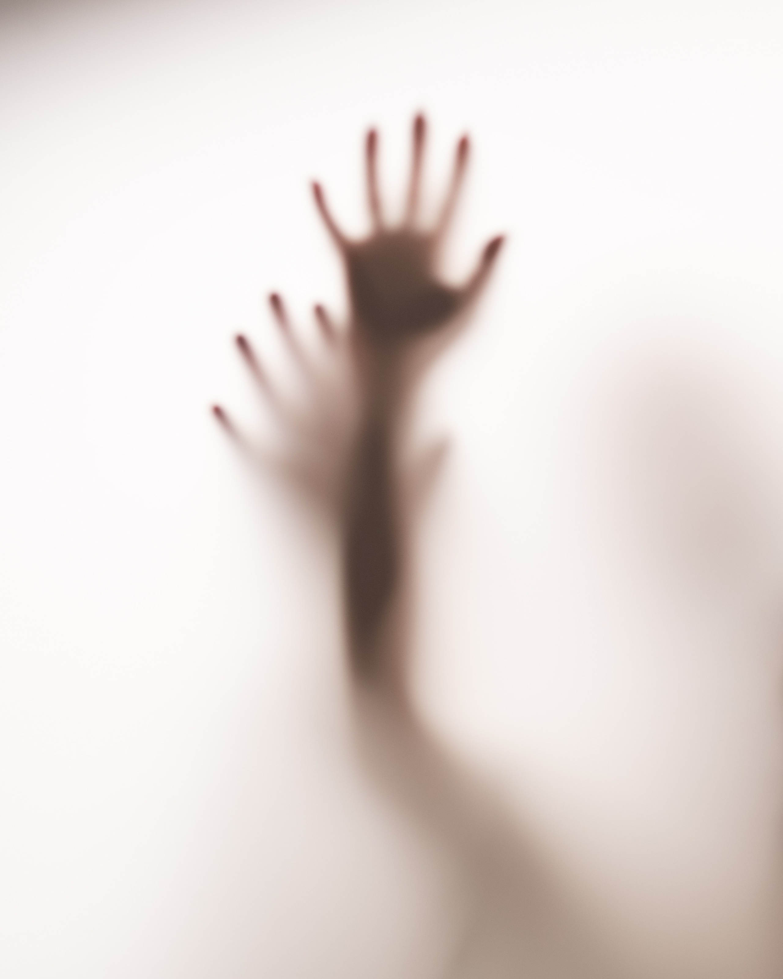 ANA and NELSON. Studio. Anastasiia Antoniuk portrait, family and couple photographer, Portugal