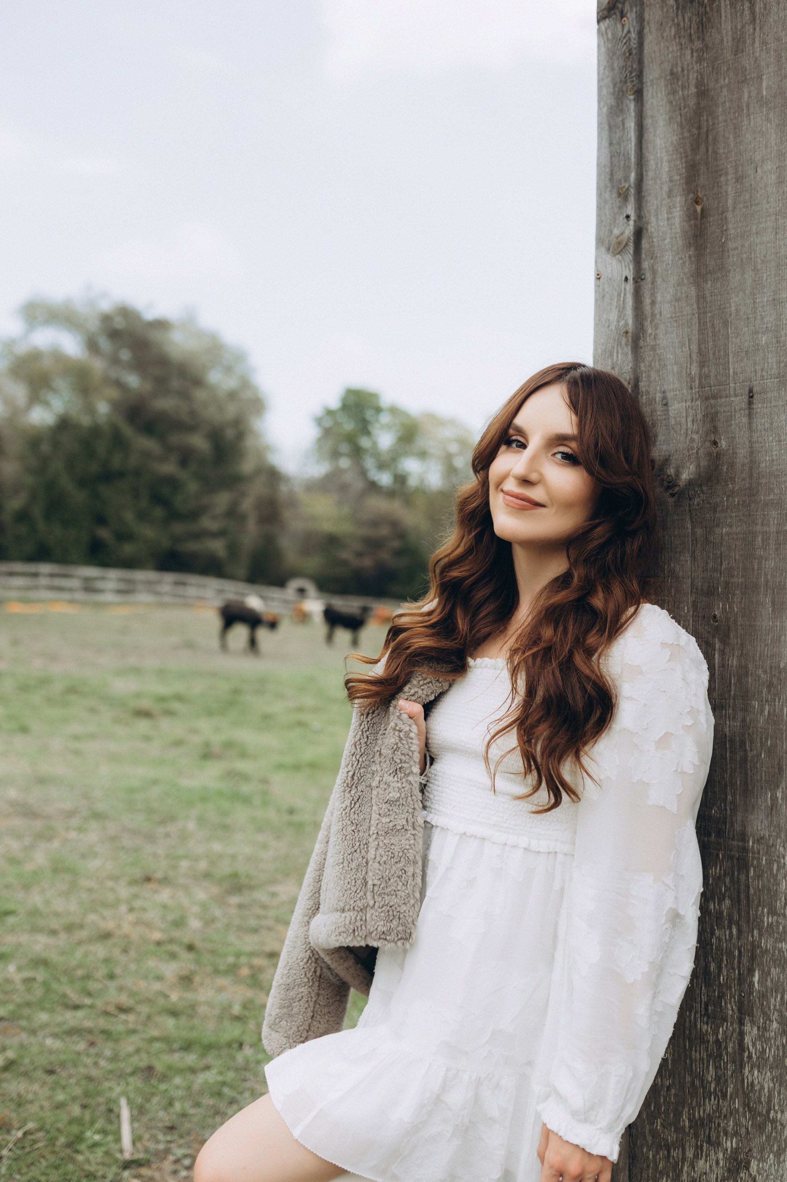 Alpacas Farm. Chernenko.photography